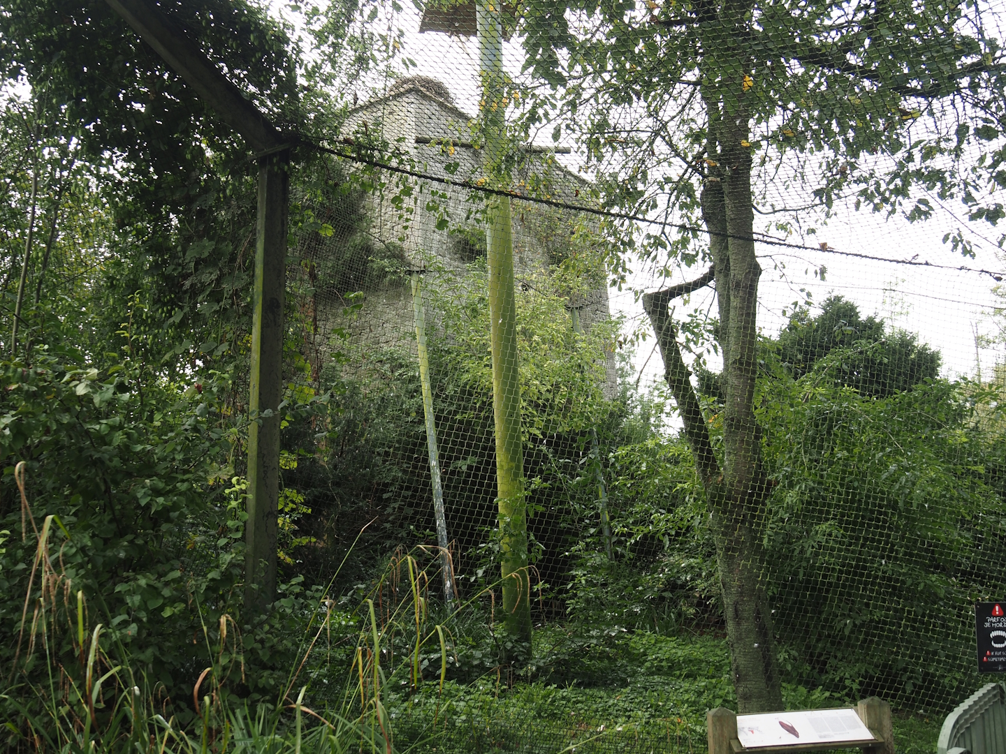 African fish eagle aviary, 2024-09-17