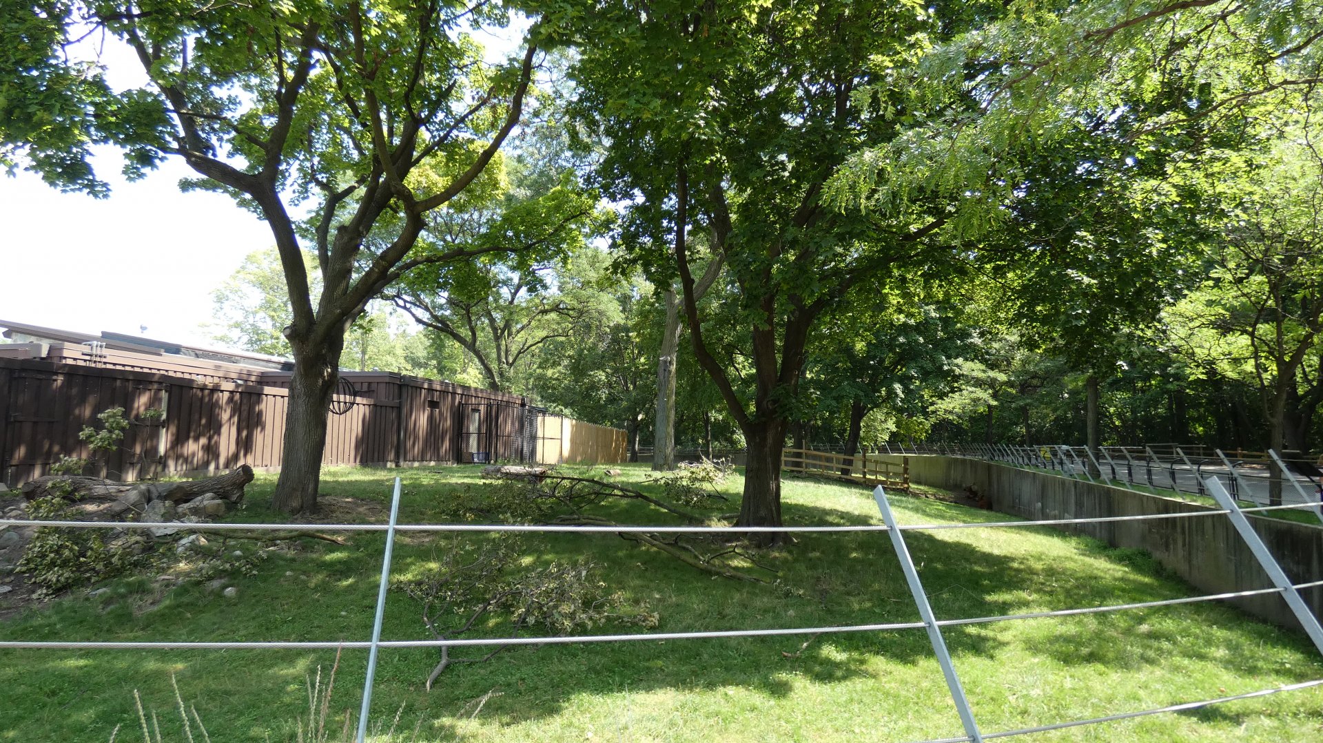 African Forest, Adventure Africa - Aug. 2021