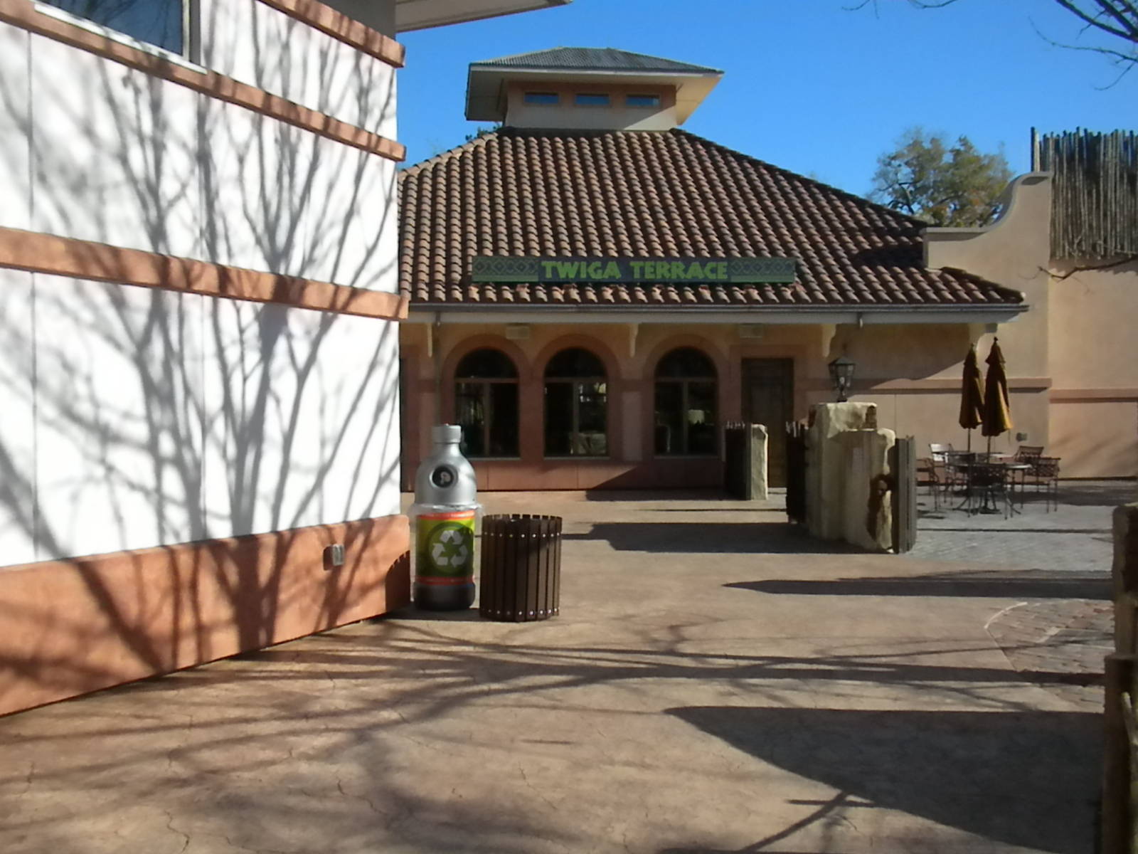 African Forest - Cafe