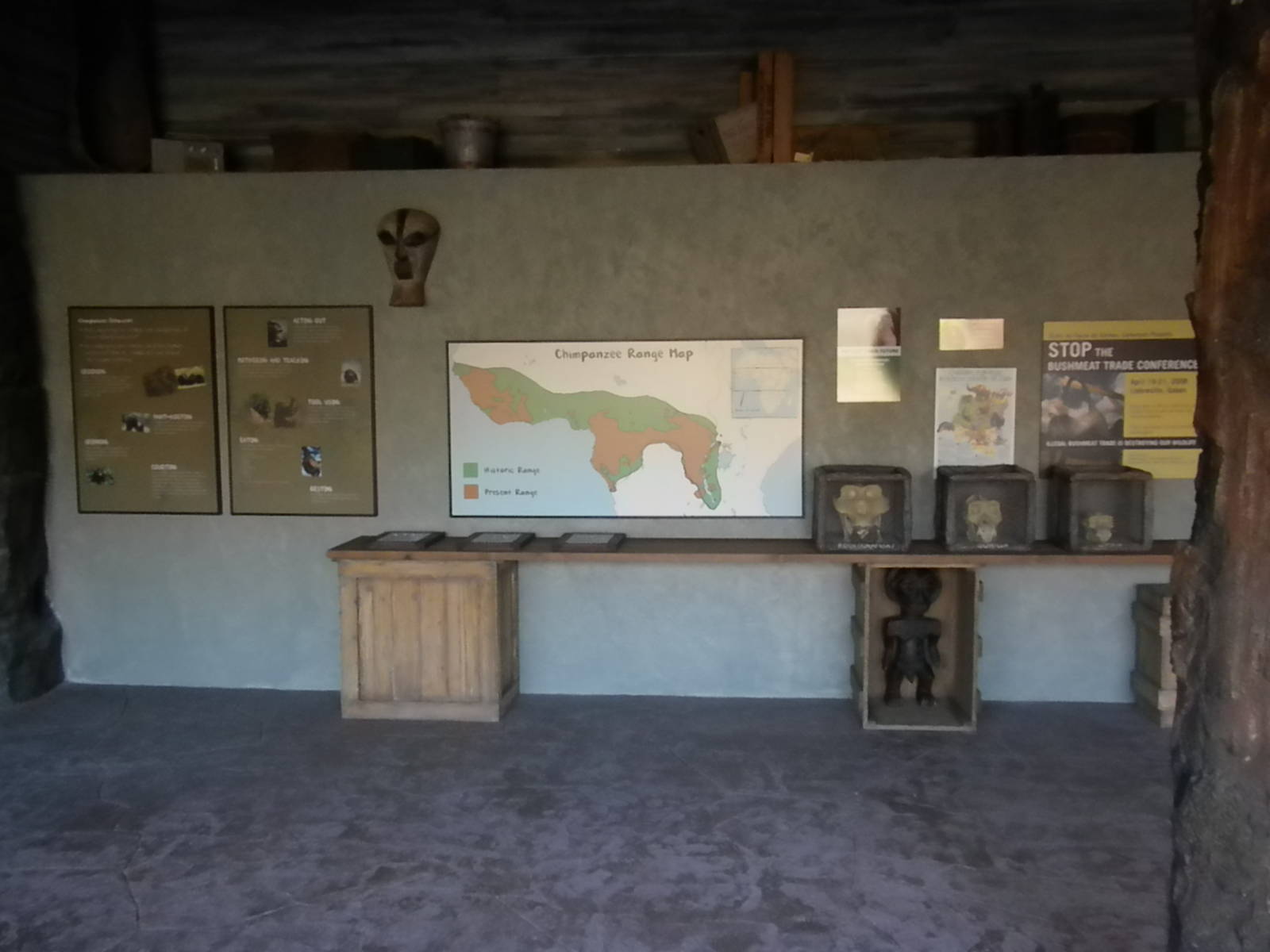 African Forest - Chimp interpretive area