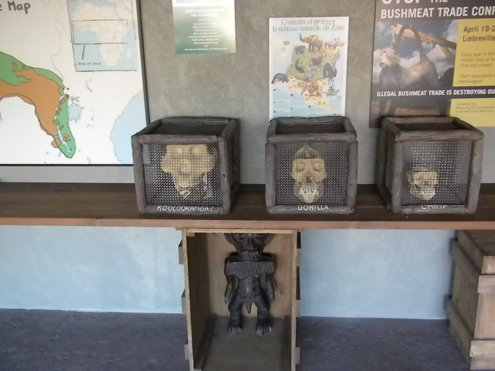 African Forest- Chimp interpretive area