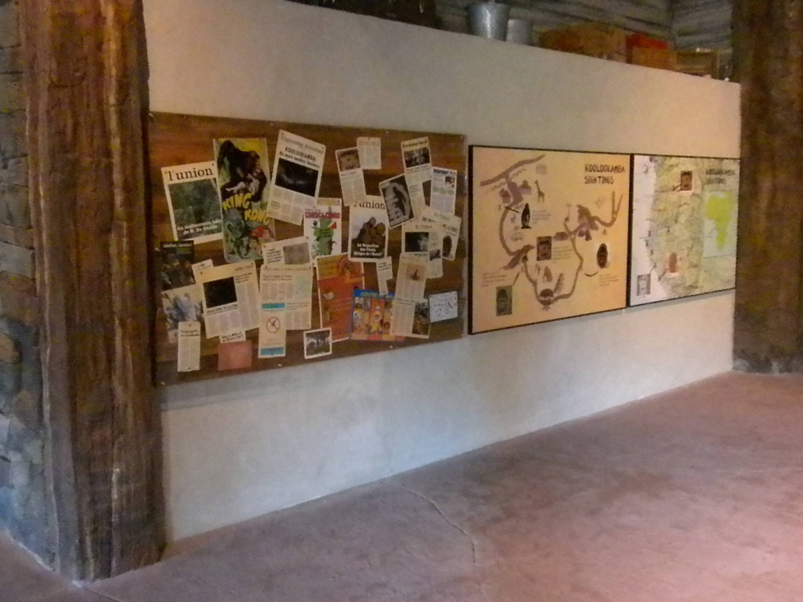 African Forest- Chimp interpretive area