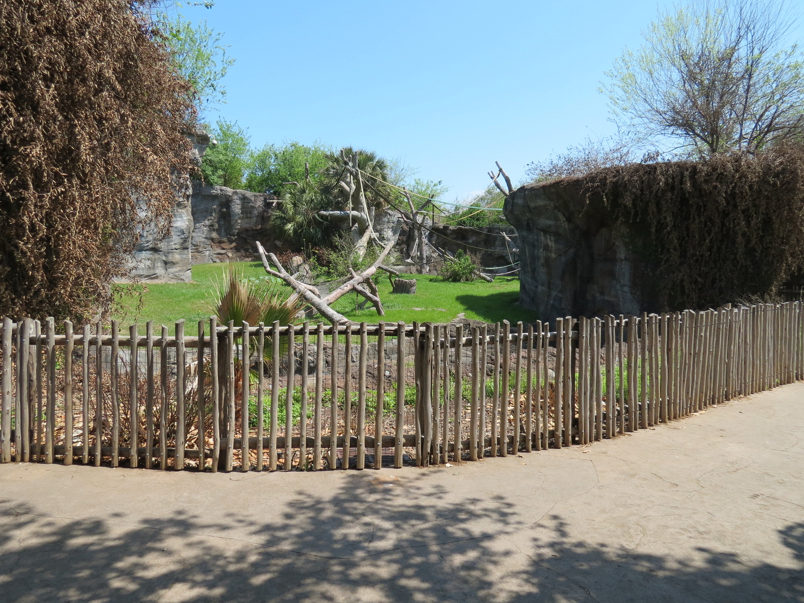 African Forest - Chimpanzee Exhibit