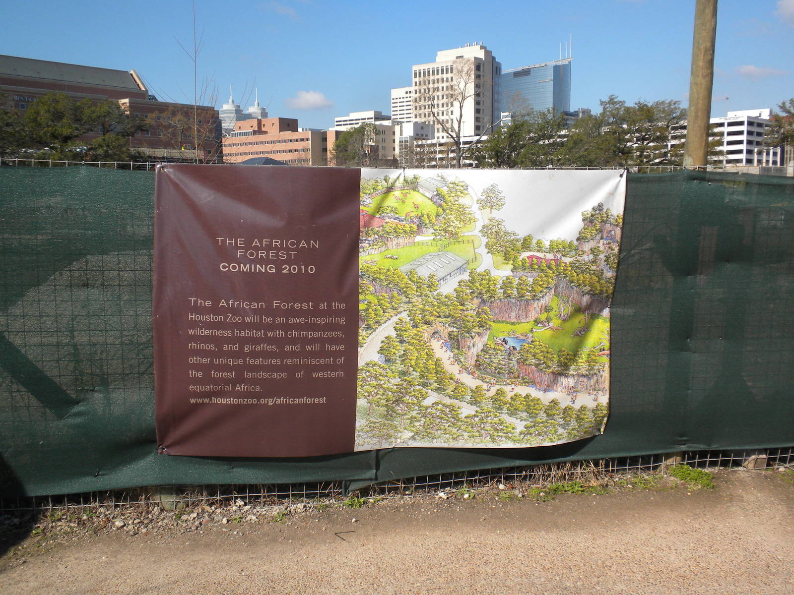 African Forest Construction