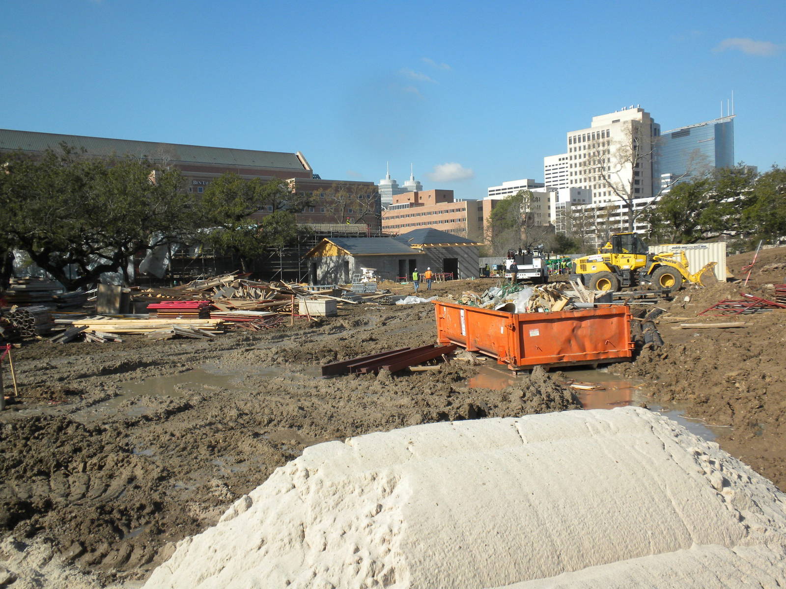 African Forest Construction