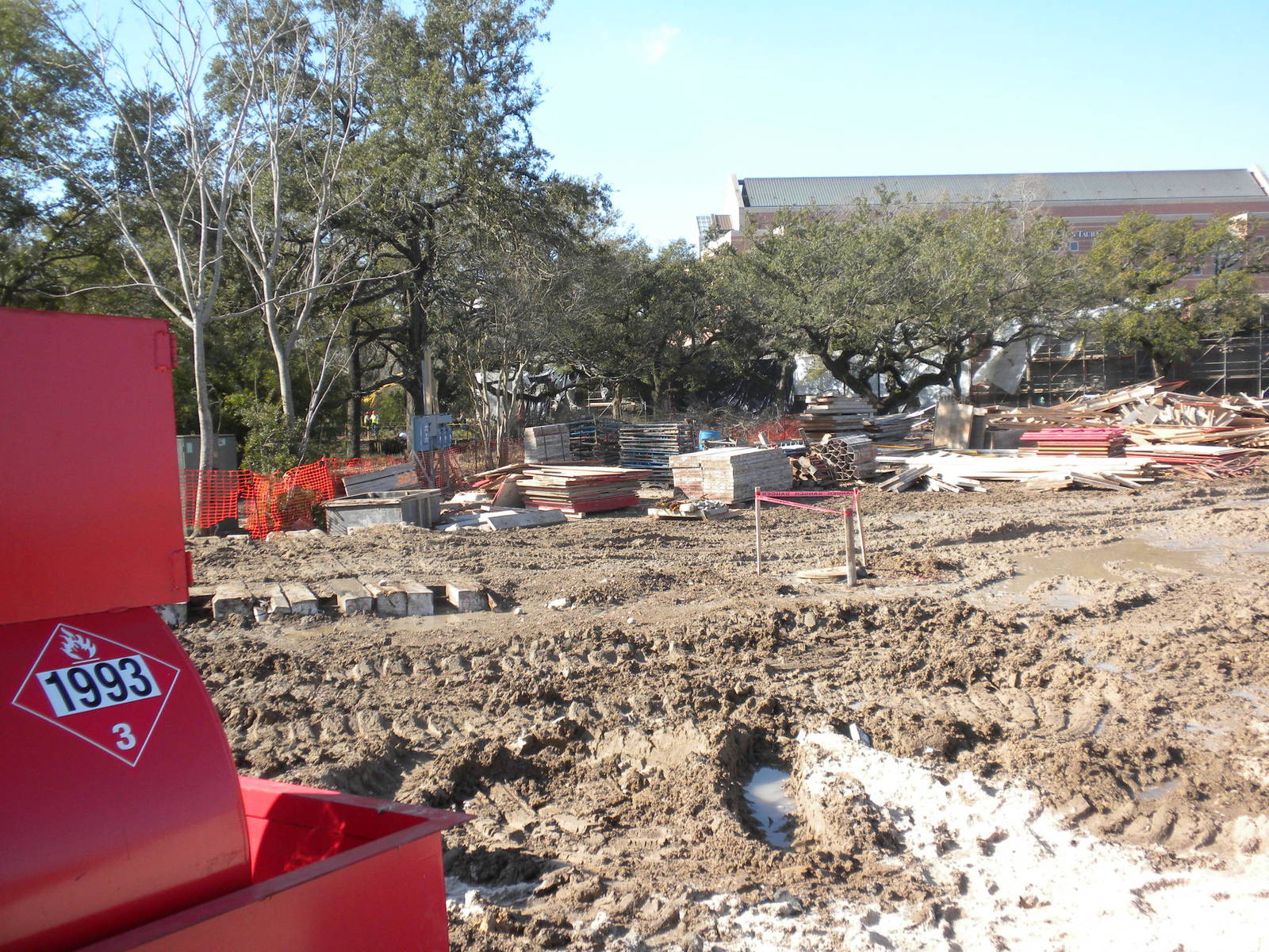 African Forest Construction