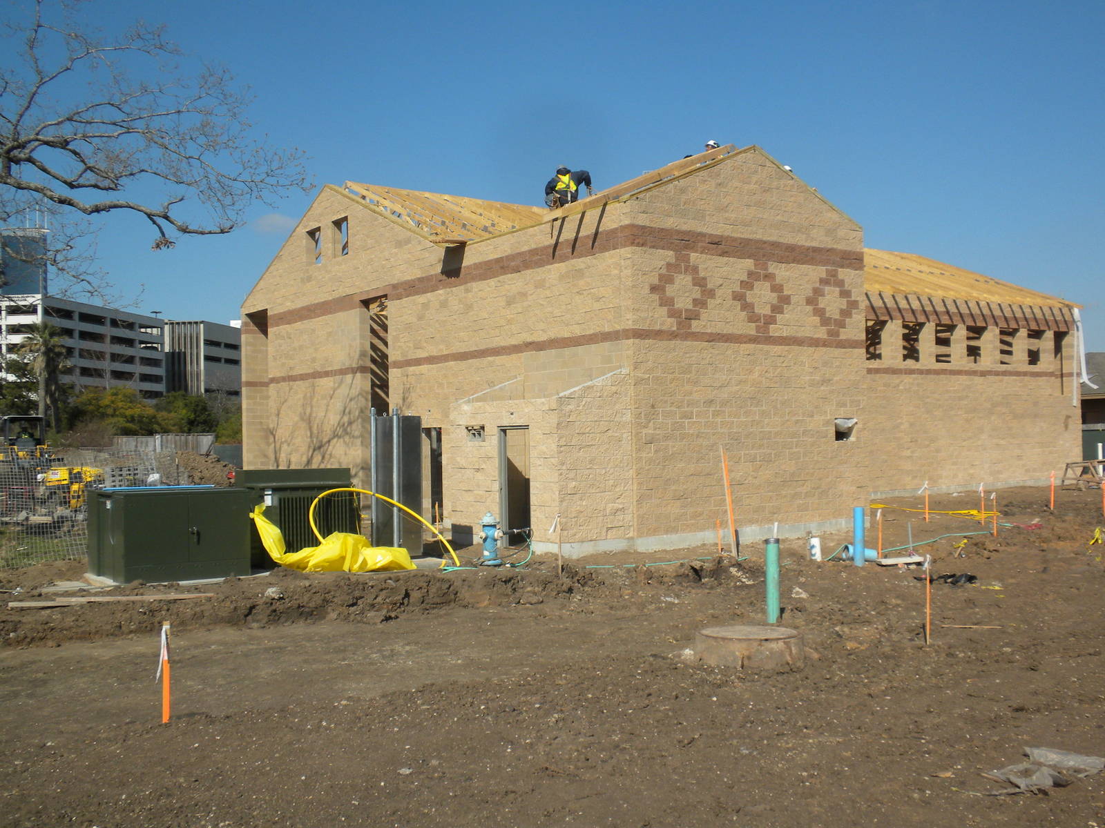 African Forest Construction