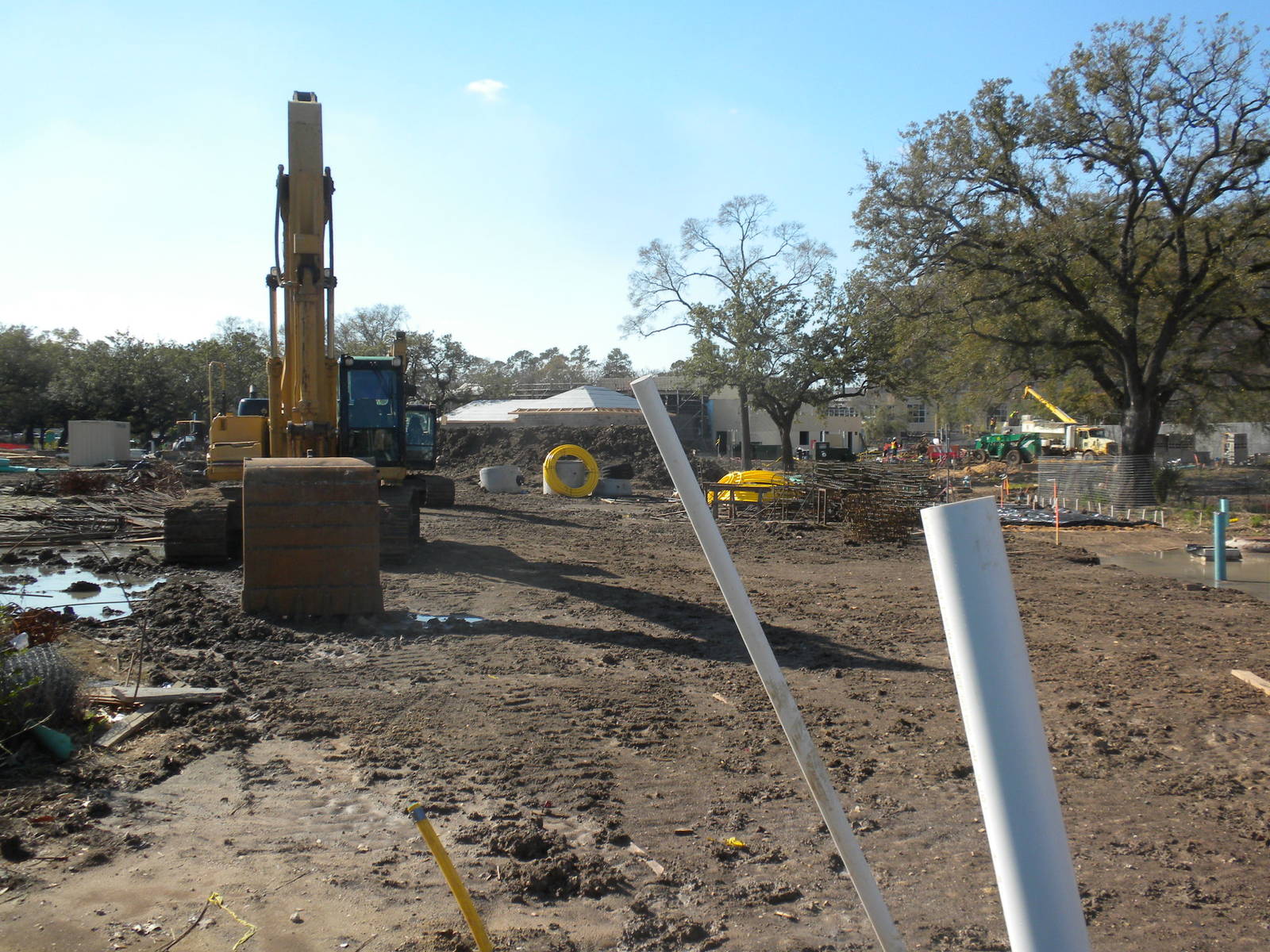 African Forest Construction