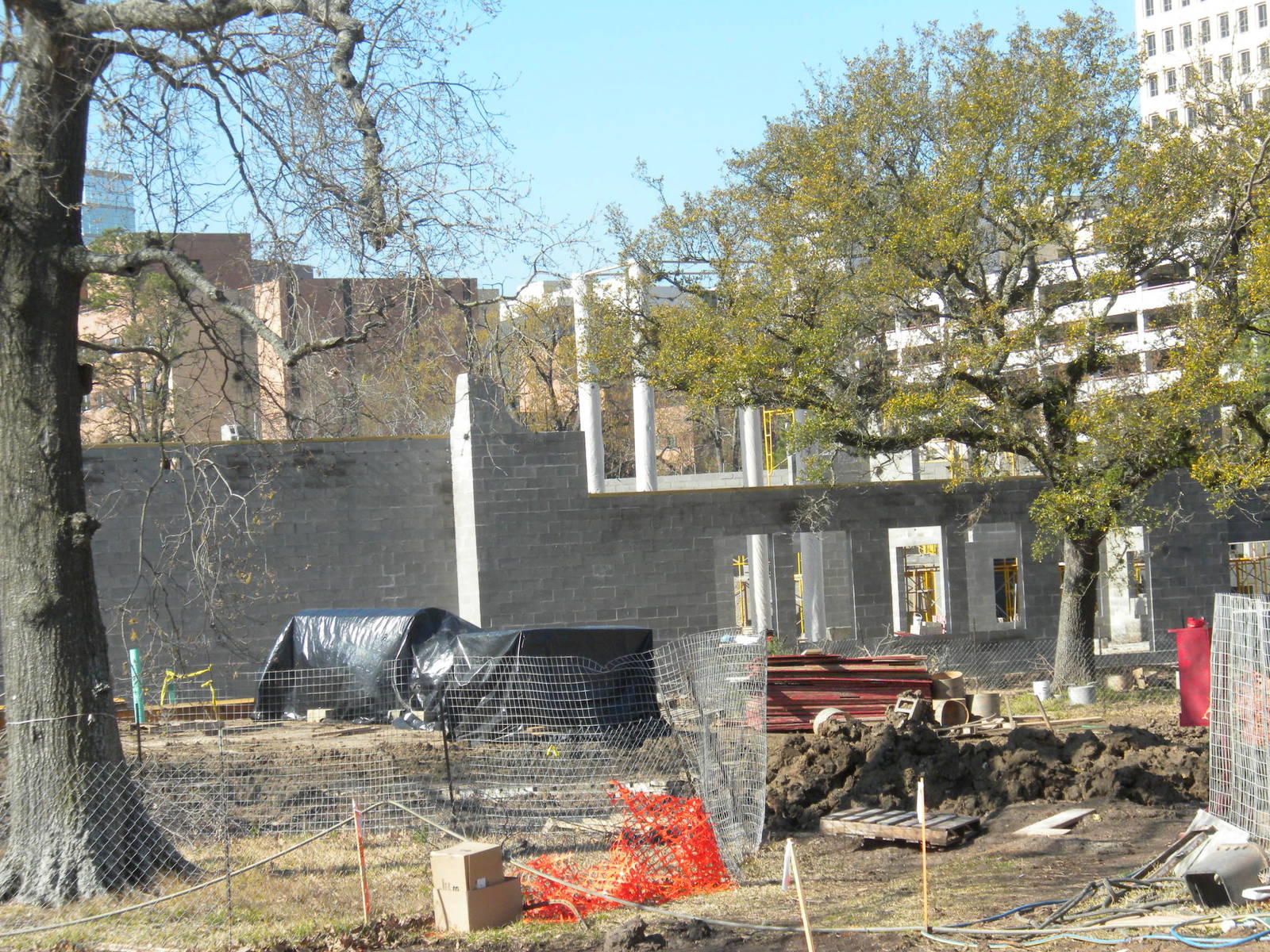 African Forest Construction