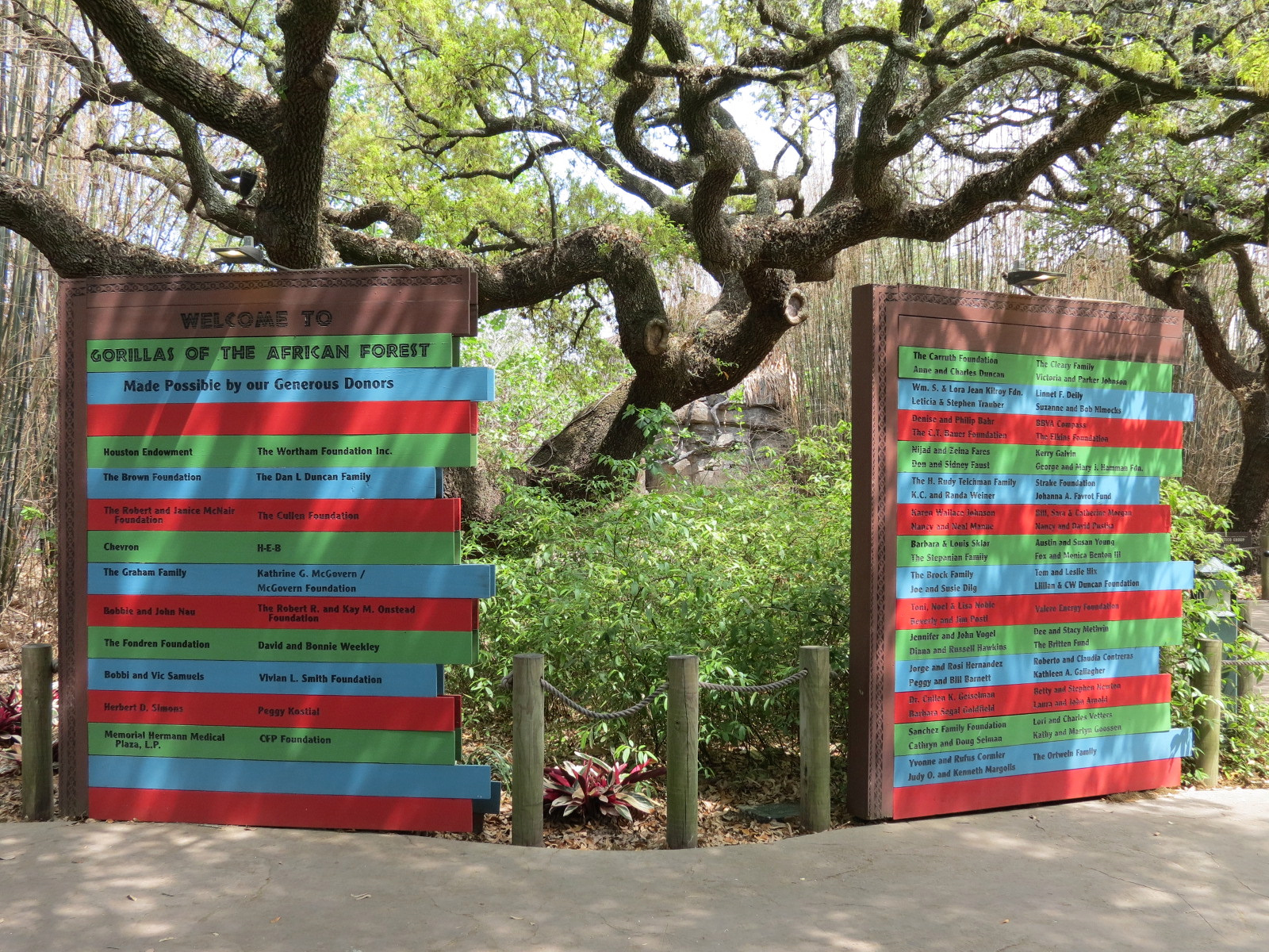 African Forest - Donor Boards