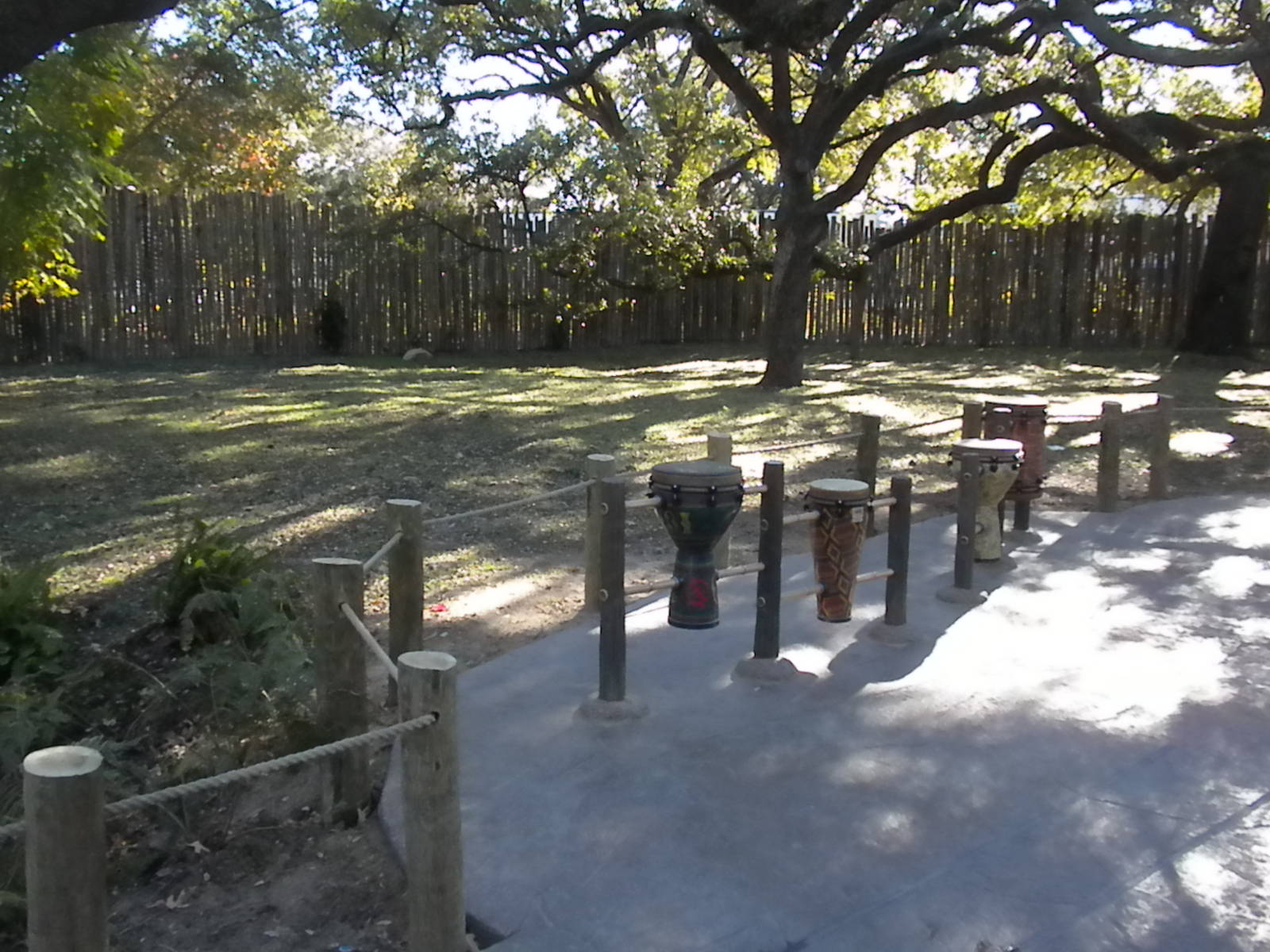 African Forest - drums