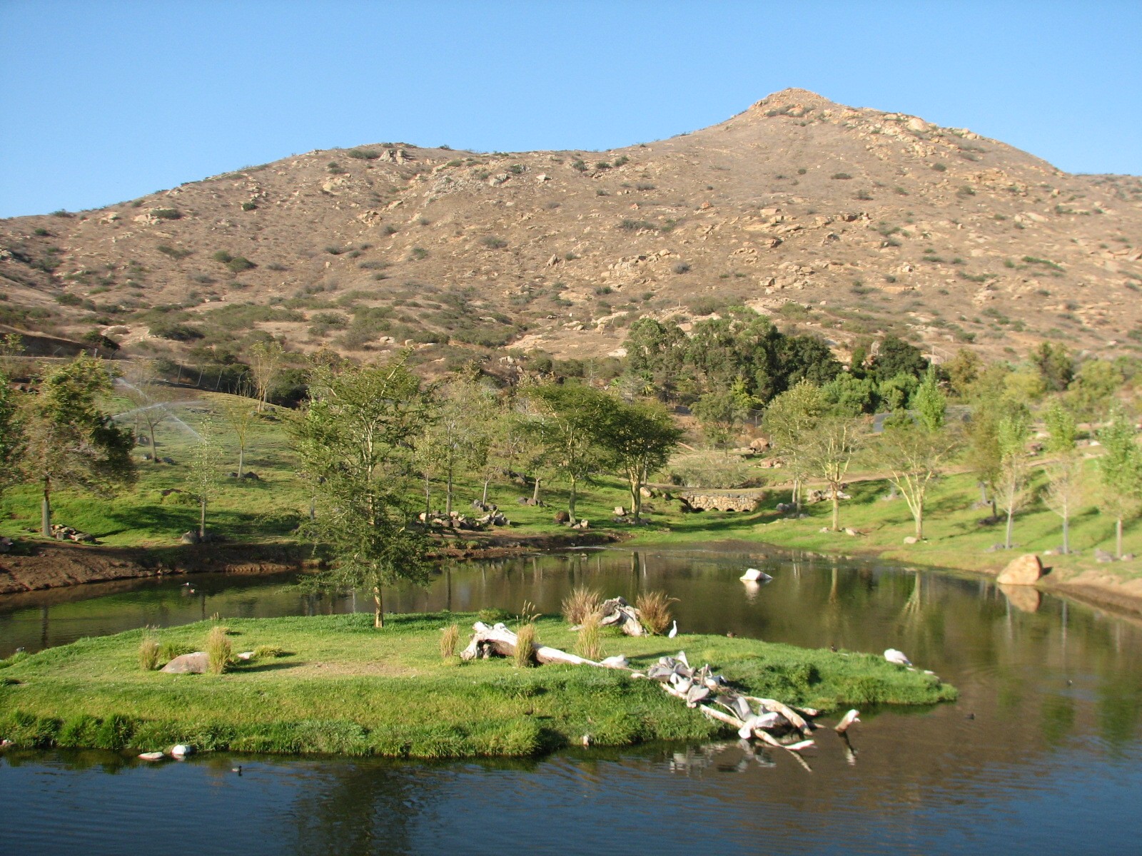 African Forest Exhibit