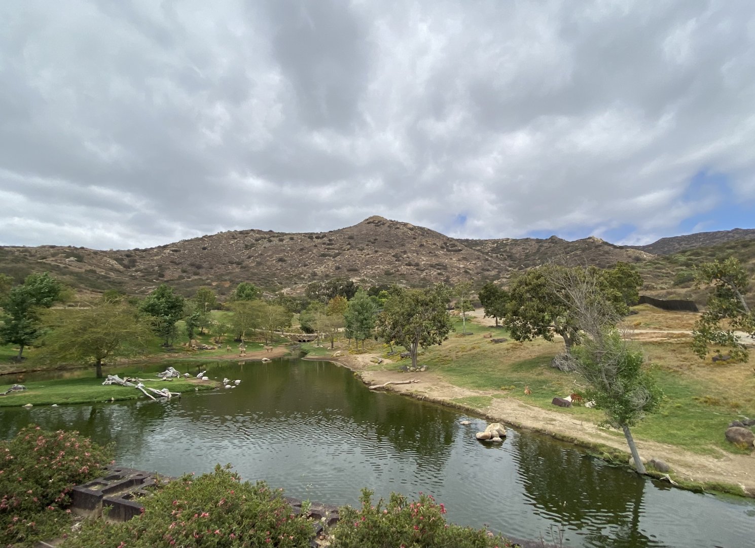 African Forest Field Enclosure