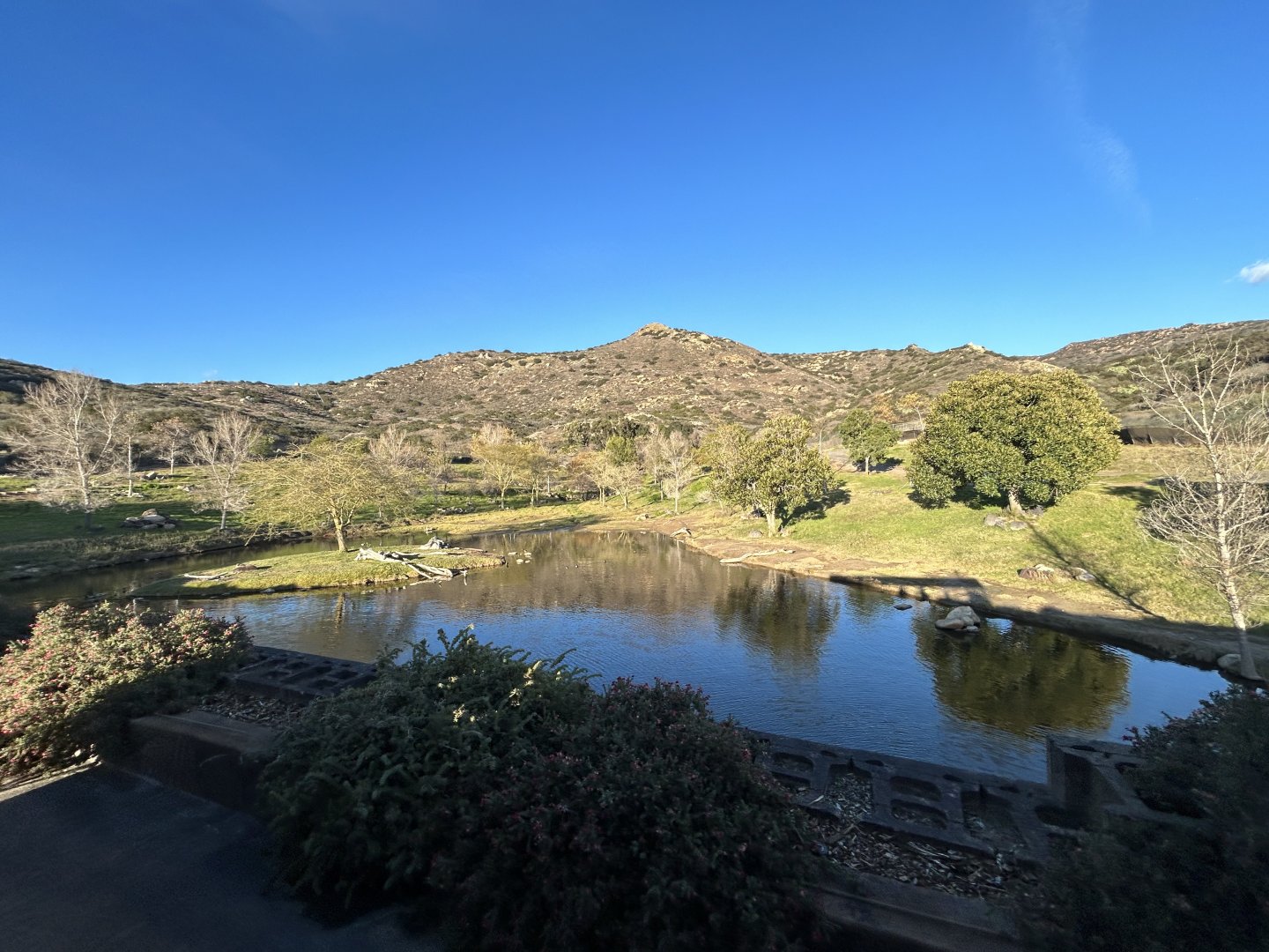 African Forest Field Exhibit