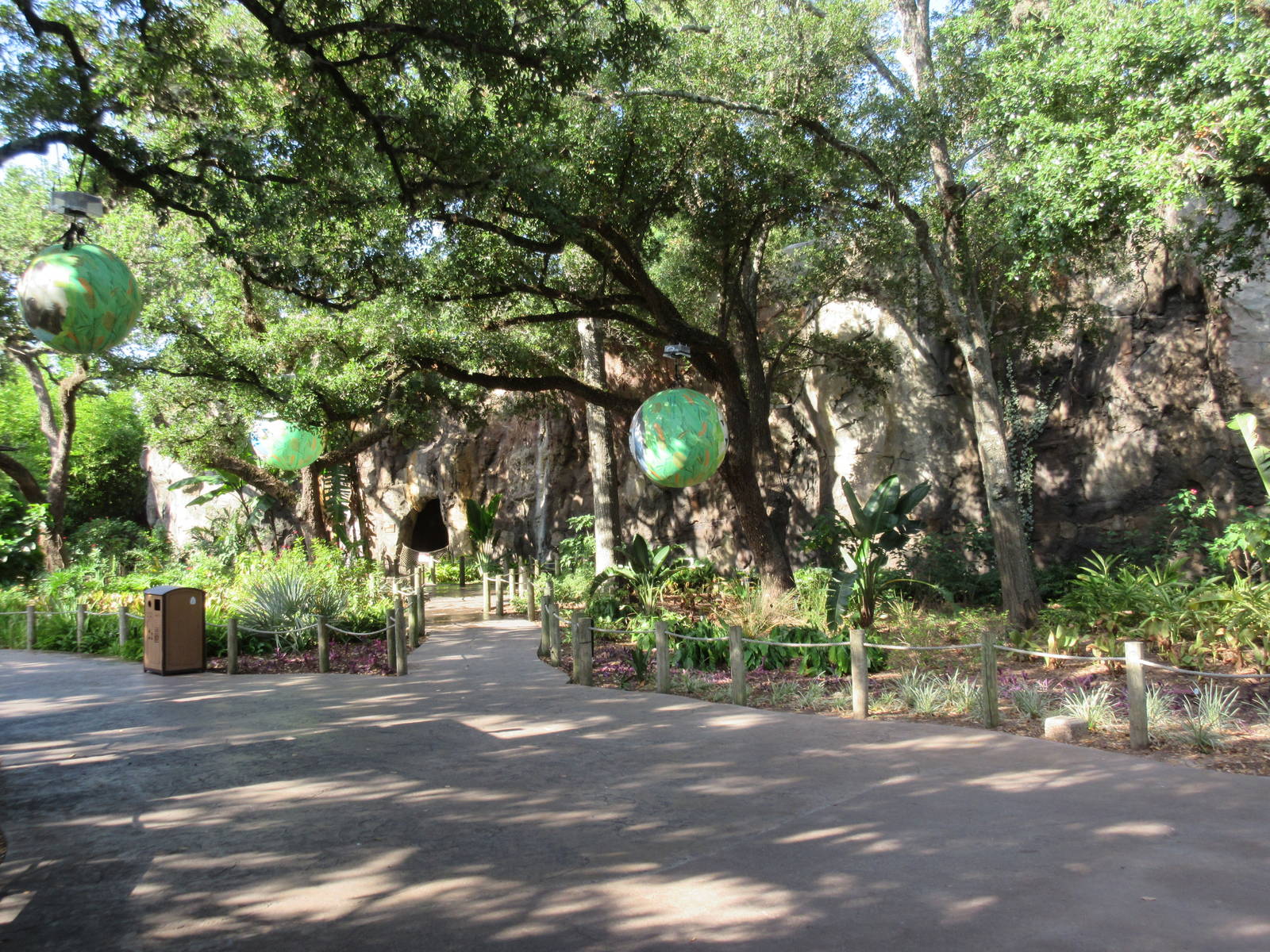 African Forest - Giant Balls in the Trees