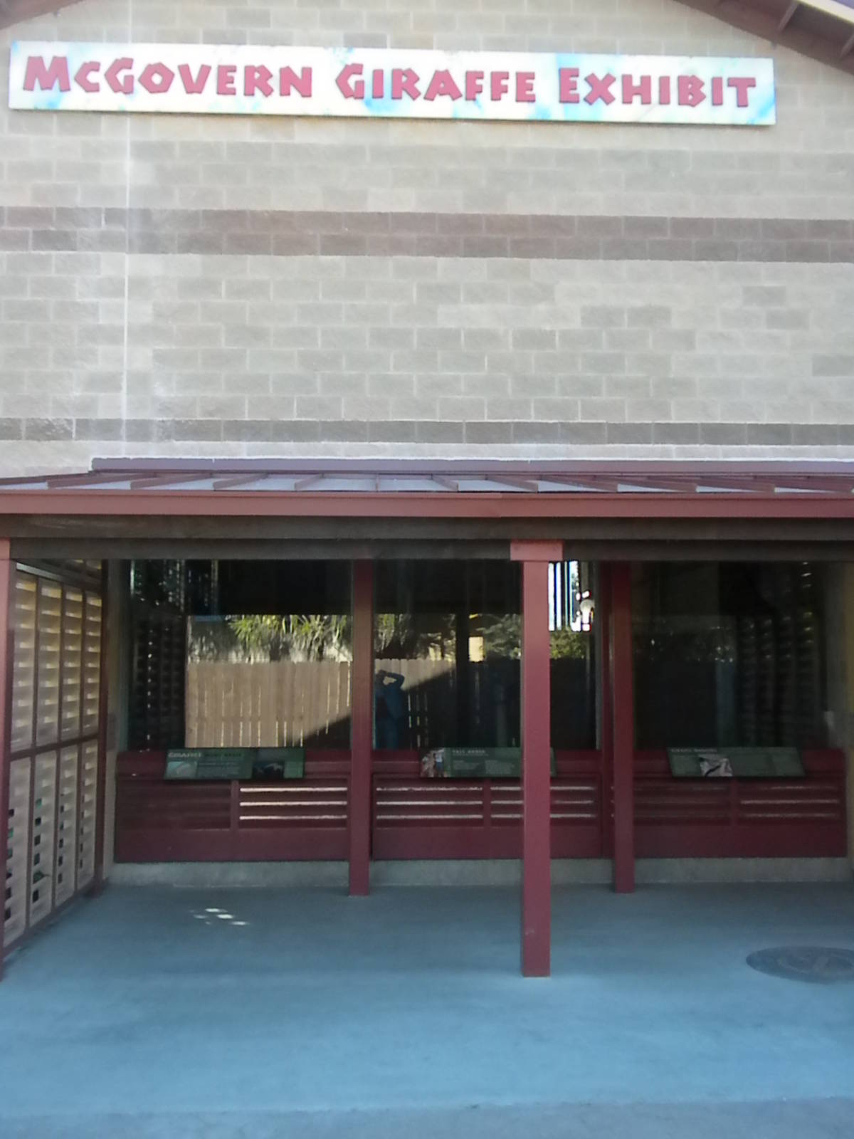 African Forest - Giraffe barn