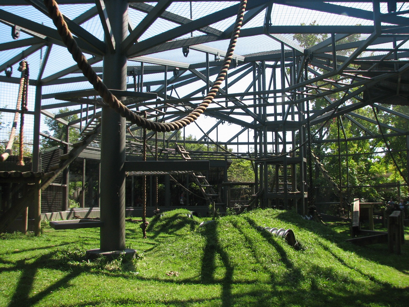 African Forest - Gorilla Outdoor Exhibit