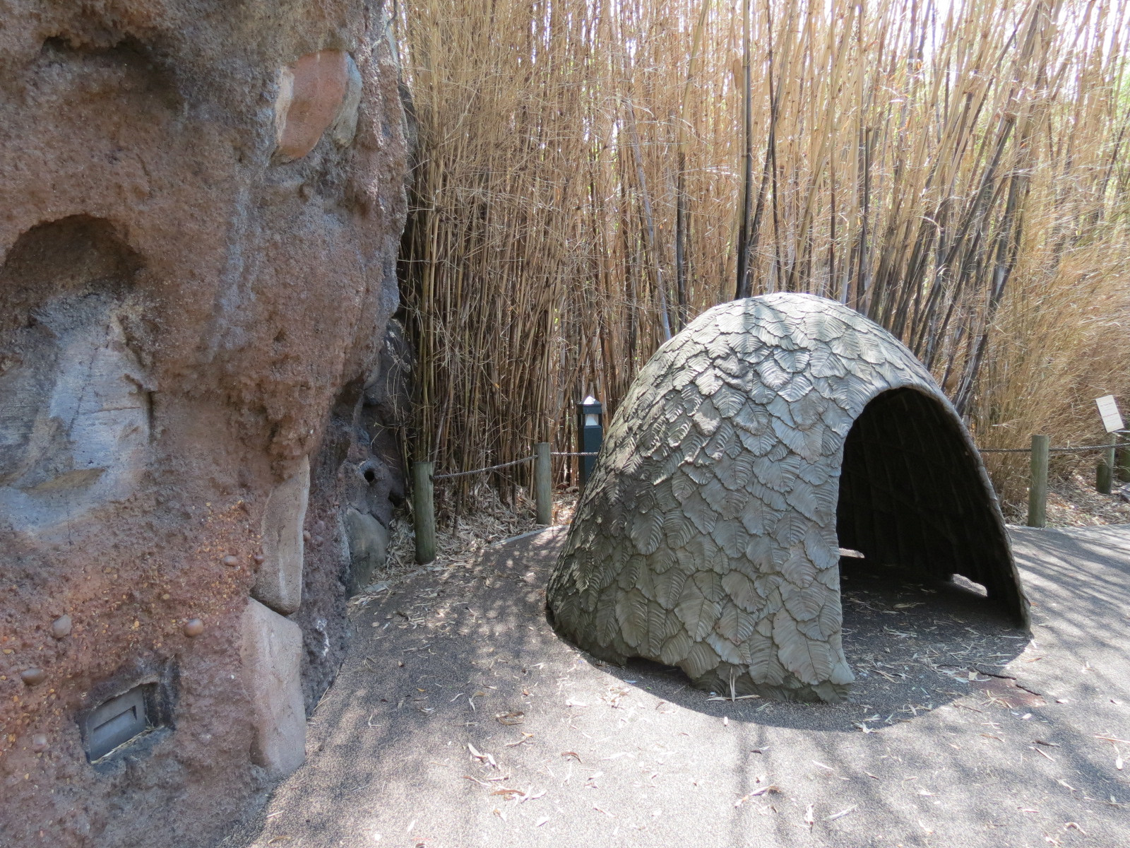 African Forest - Interpretive Village