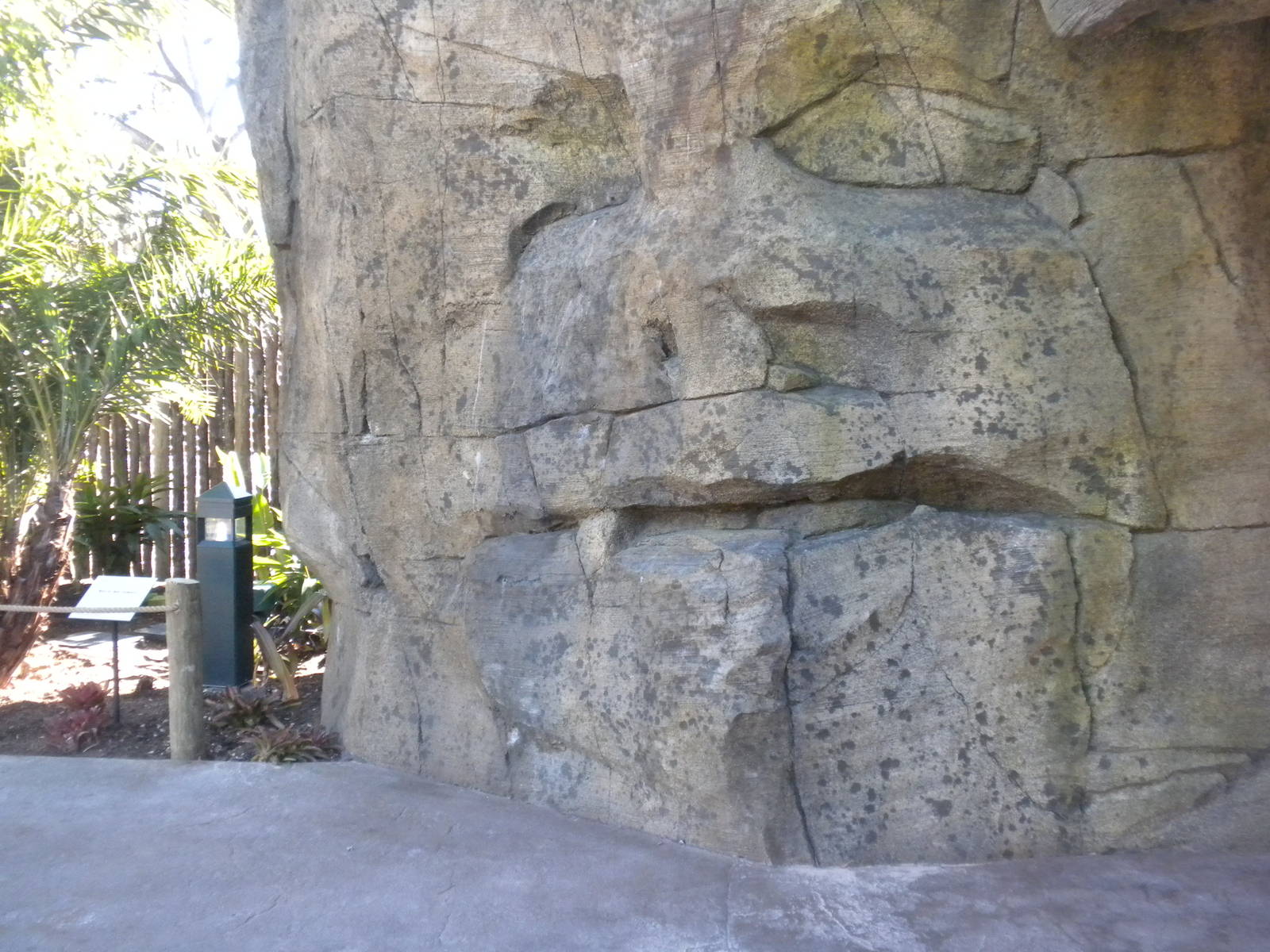 African Forest - Koolookamba