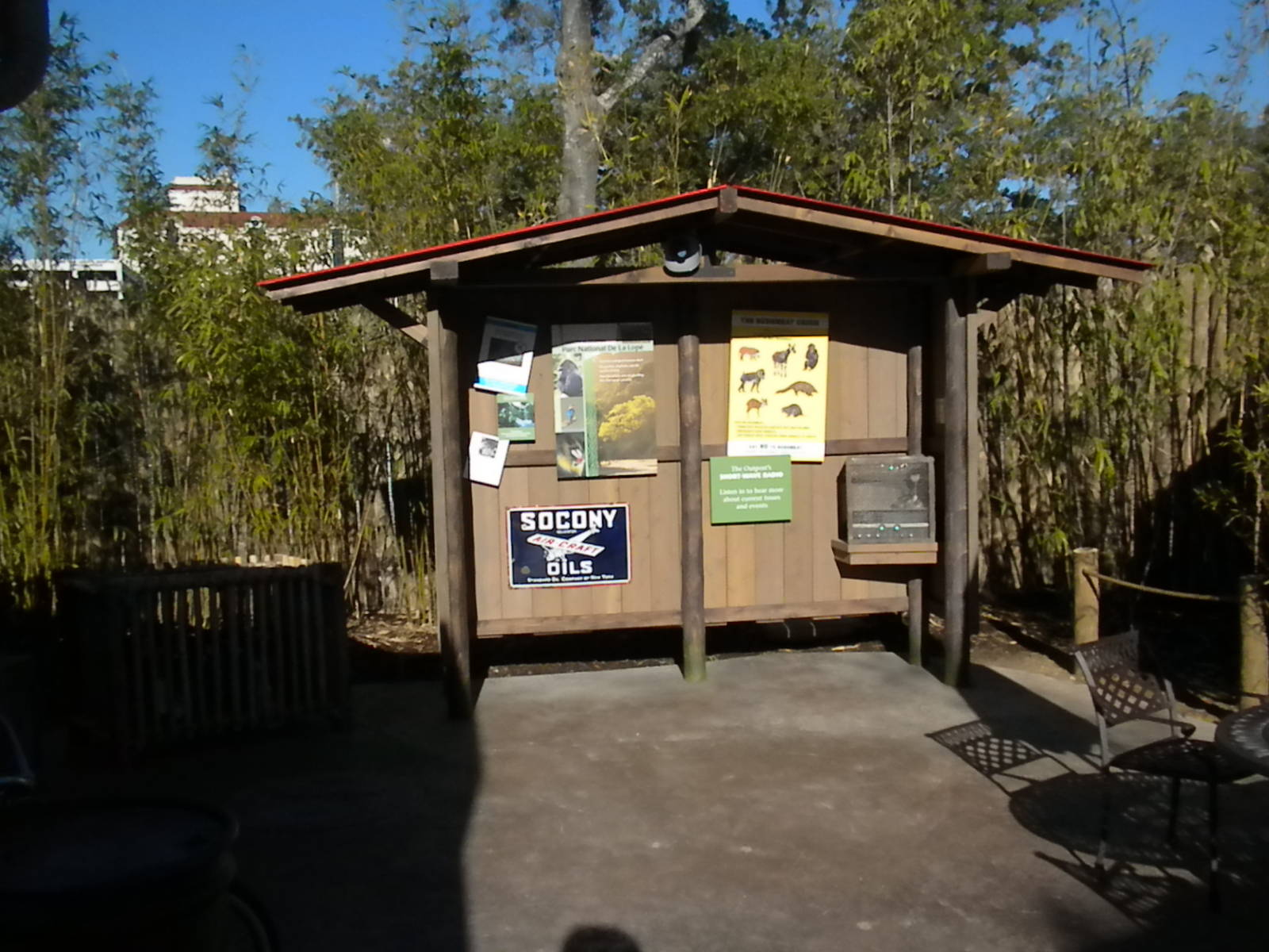 African Forest - outpost