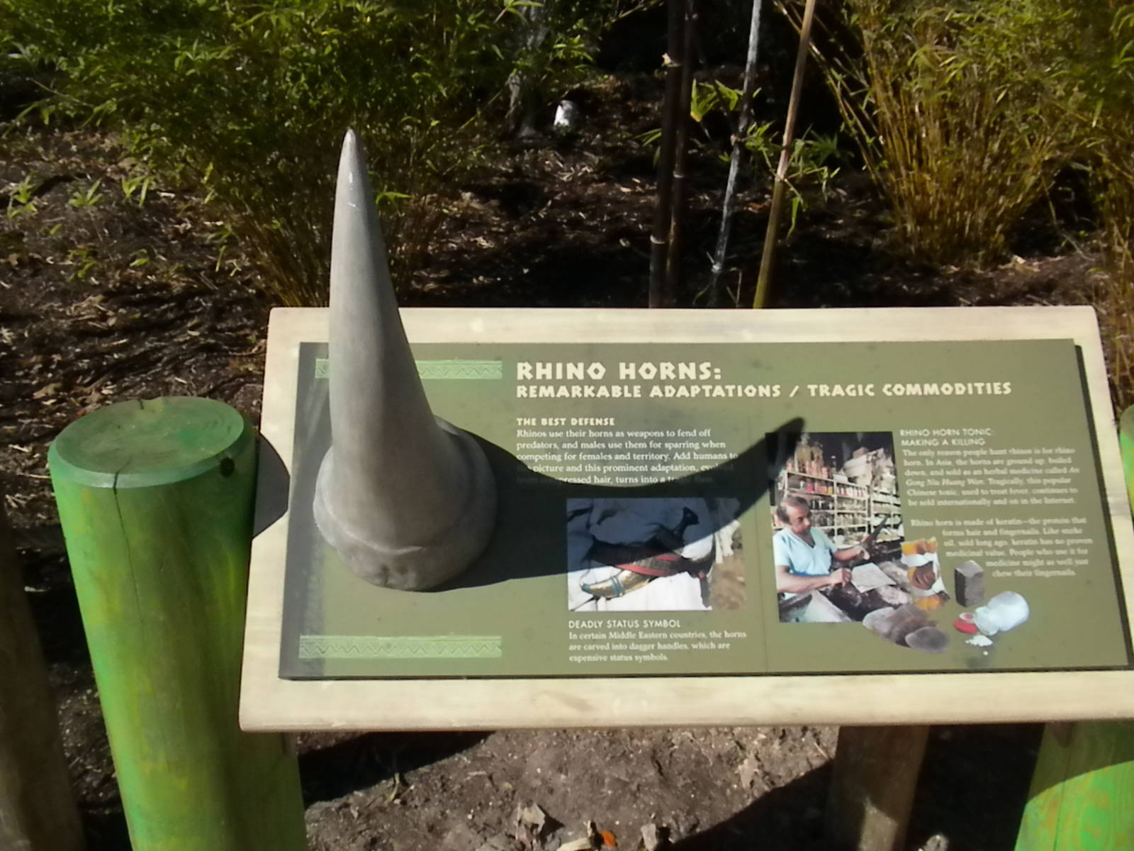 African Forest - Rhino sign