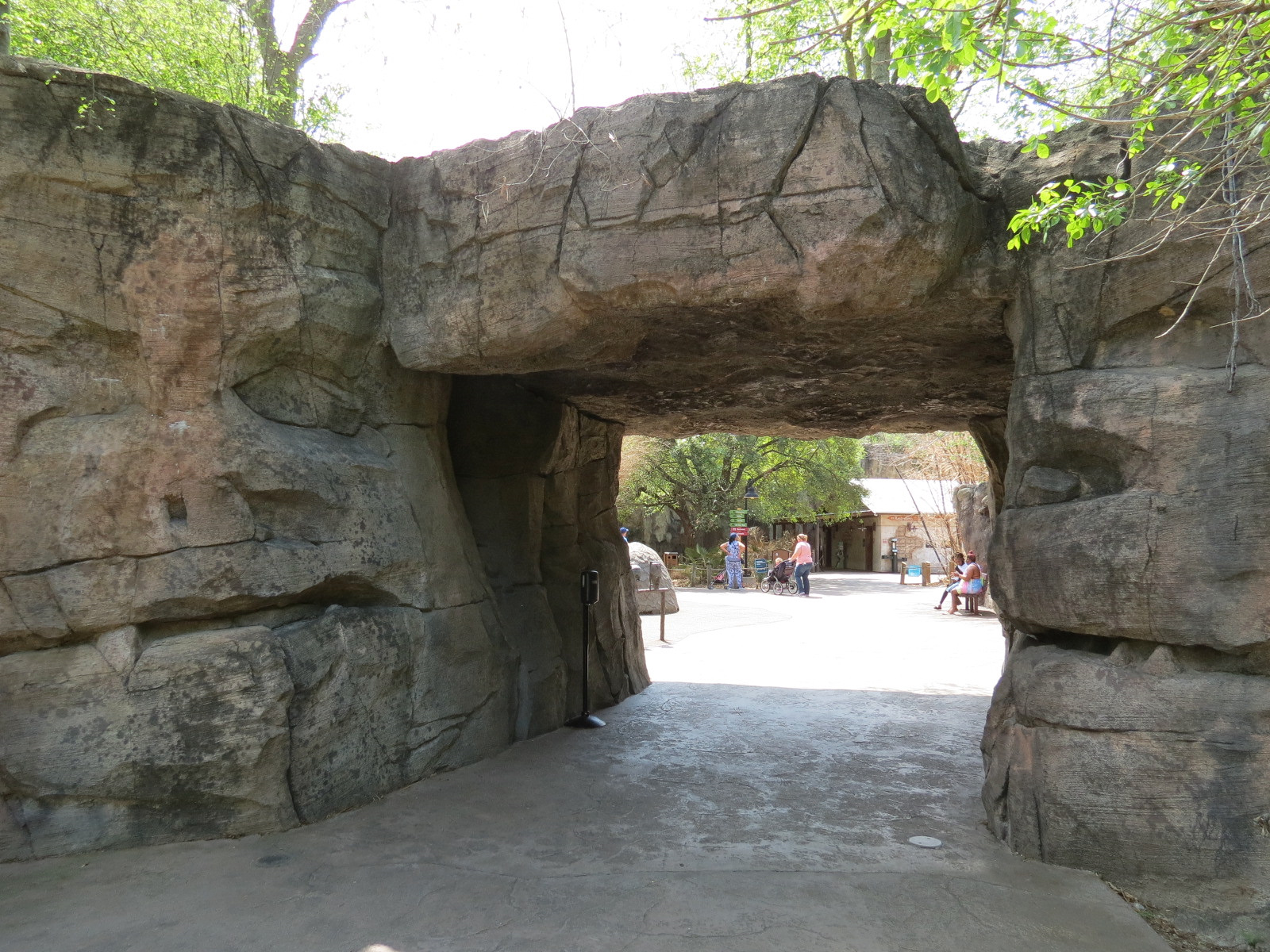 African Forest - Rocky Entry