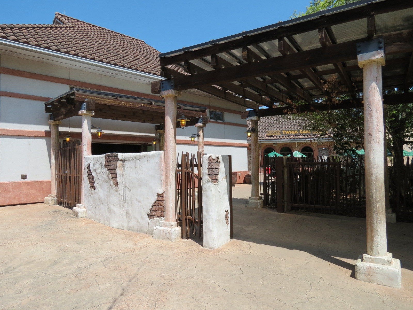 African Forest - Shani Market