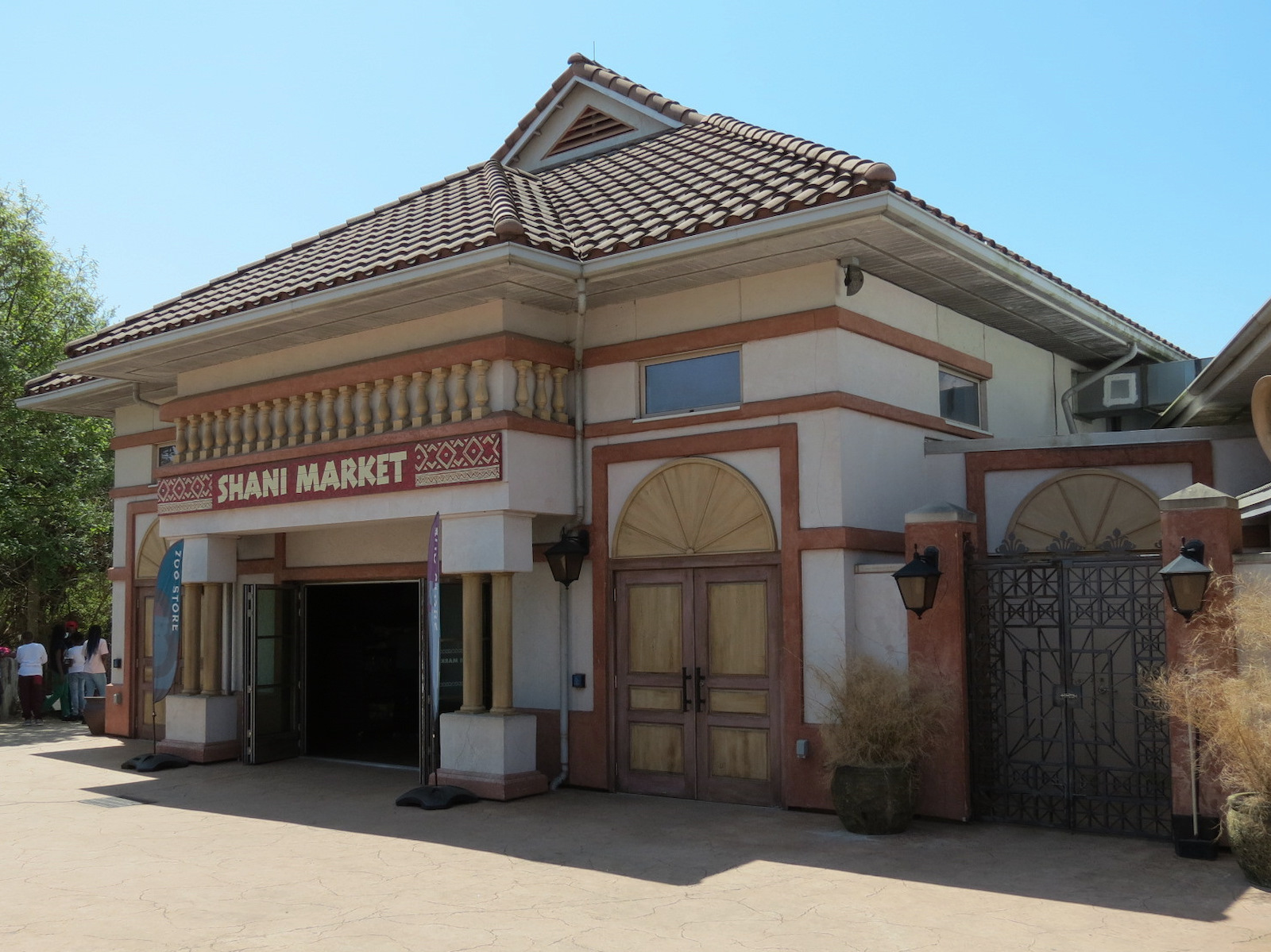 African Forest - Shani Market