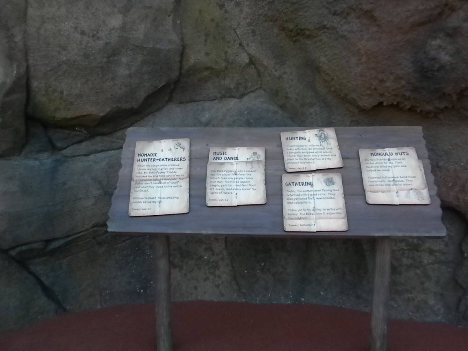 African Forest - signs