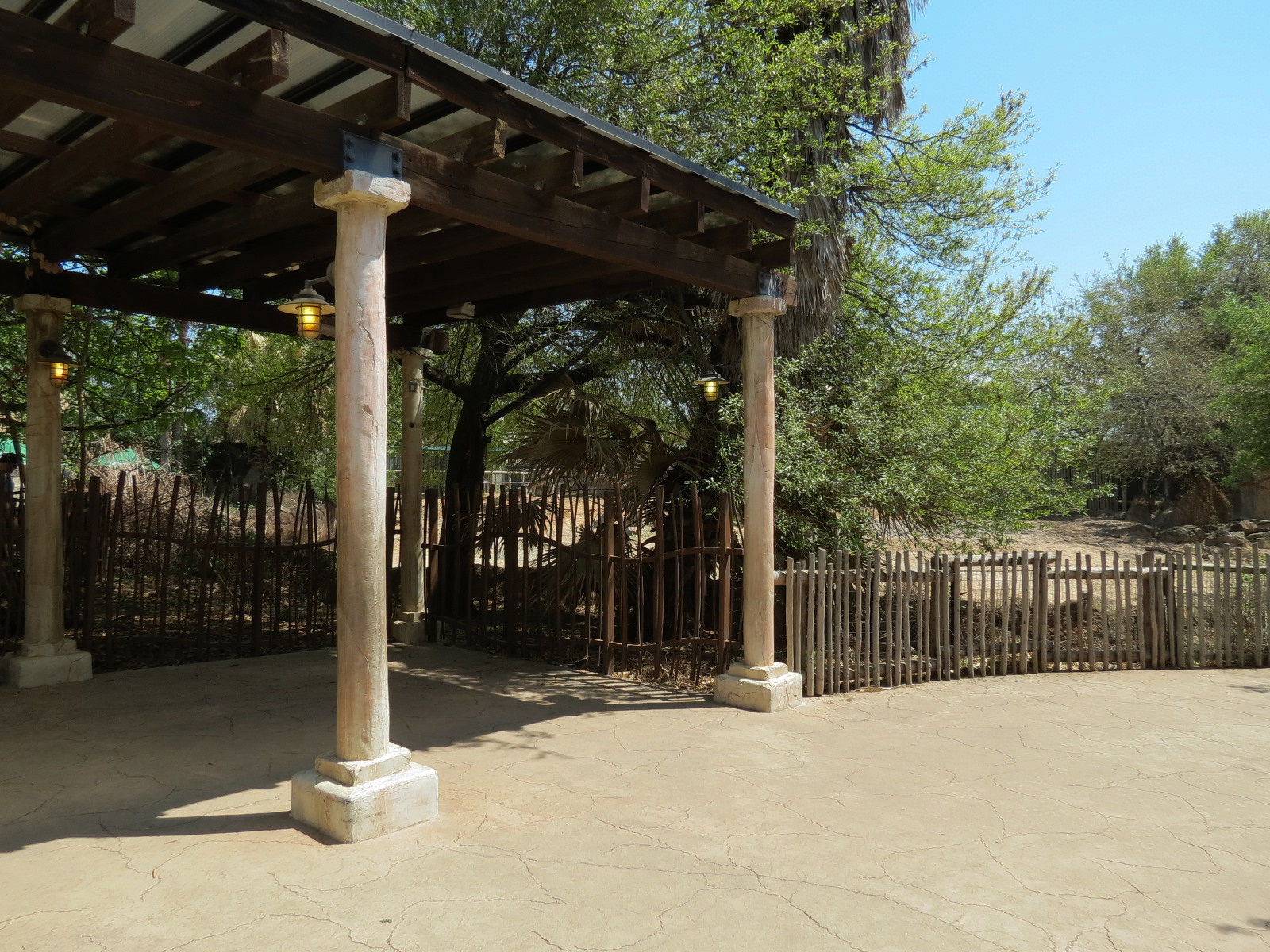 African Forest - Southern White Rhinoceros Exhibit - Viewing Area