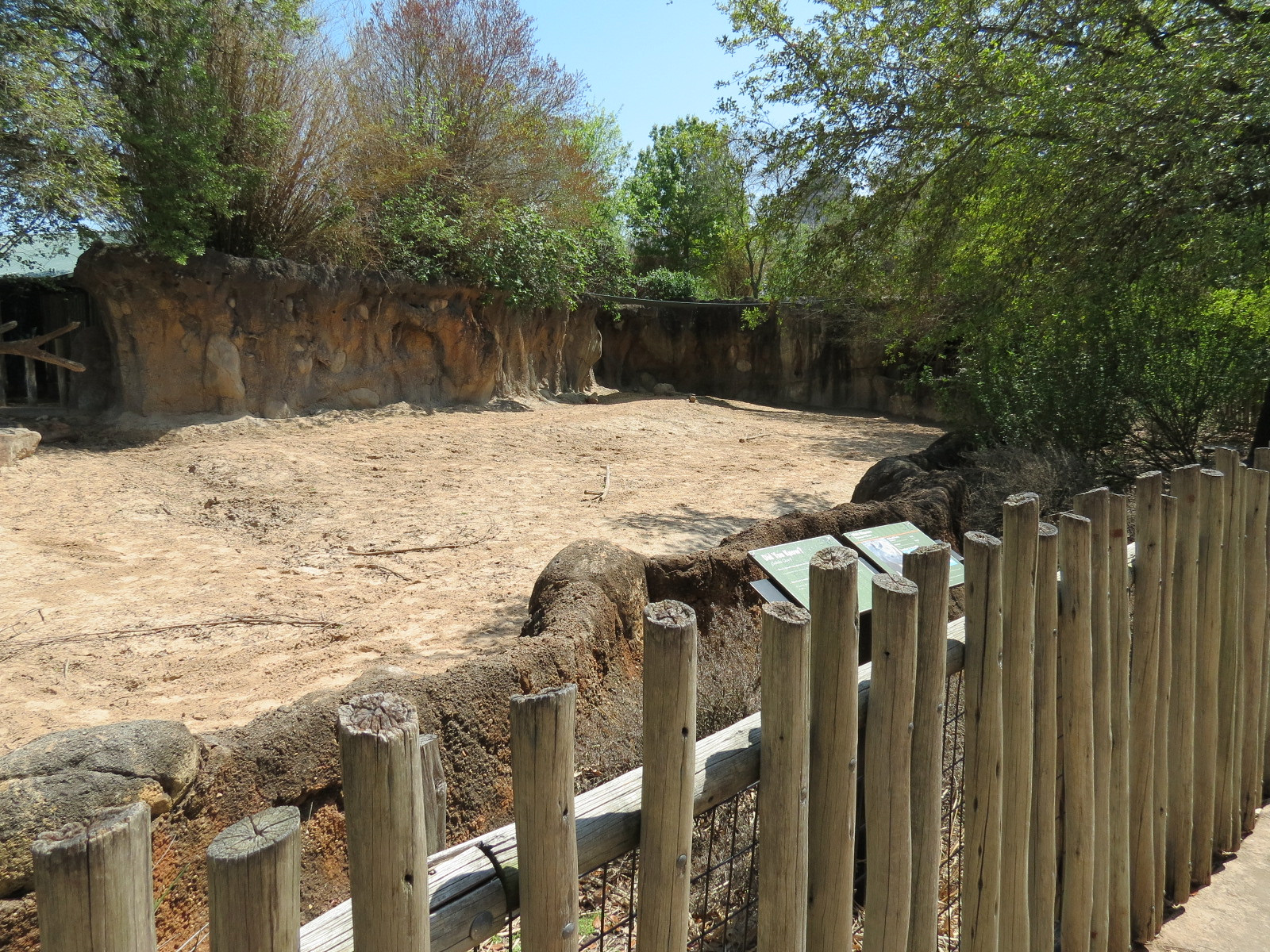 African Forest - Southern White Rhinoceros Exhibit