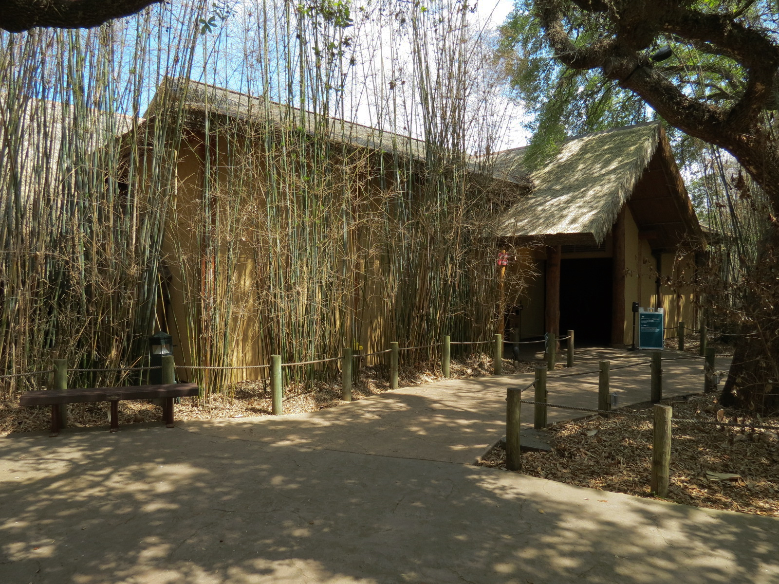African Forest - The Arrival Building