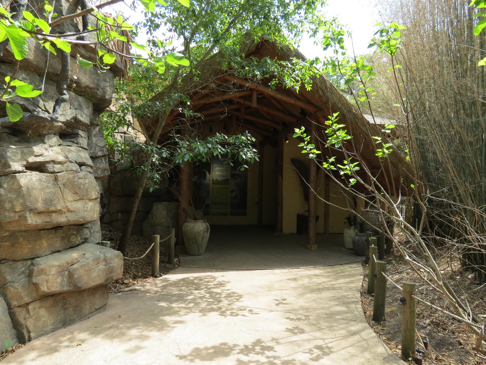 African Forest - The Arrival Building