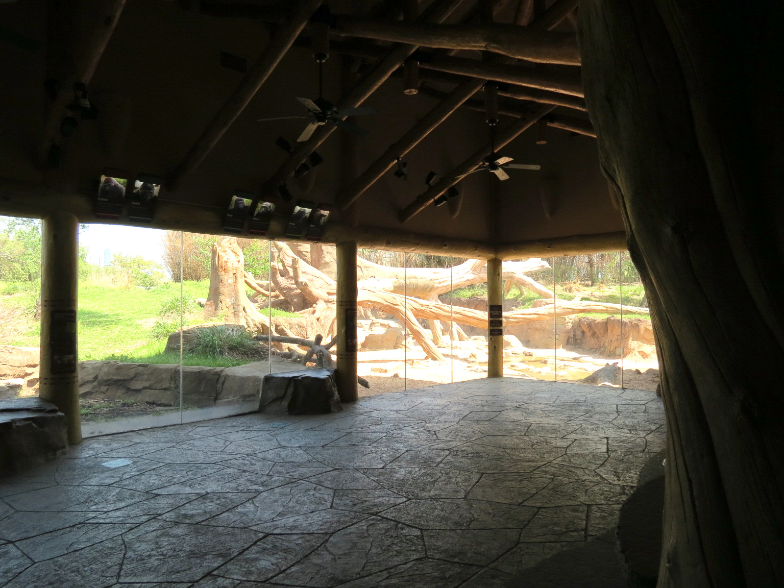 African Forest - The Arrival Building