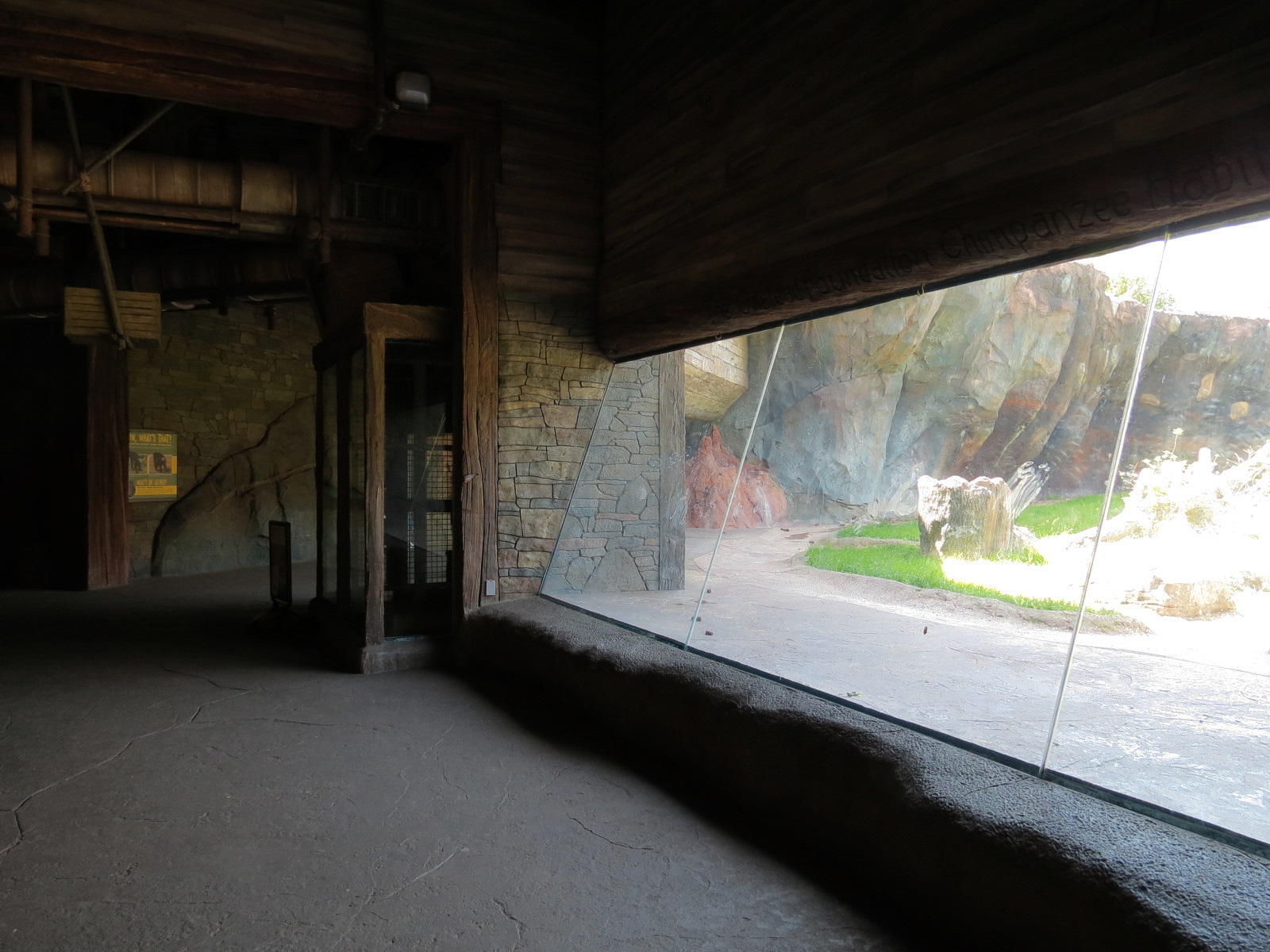 African Forest - The Great Ape Gallery - Chimpanzee Exhibit