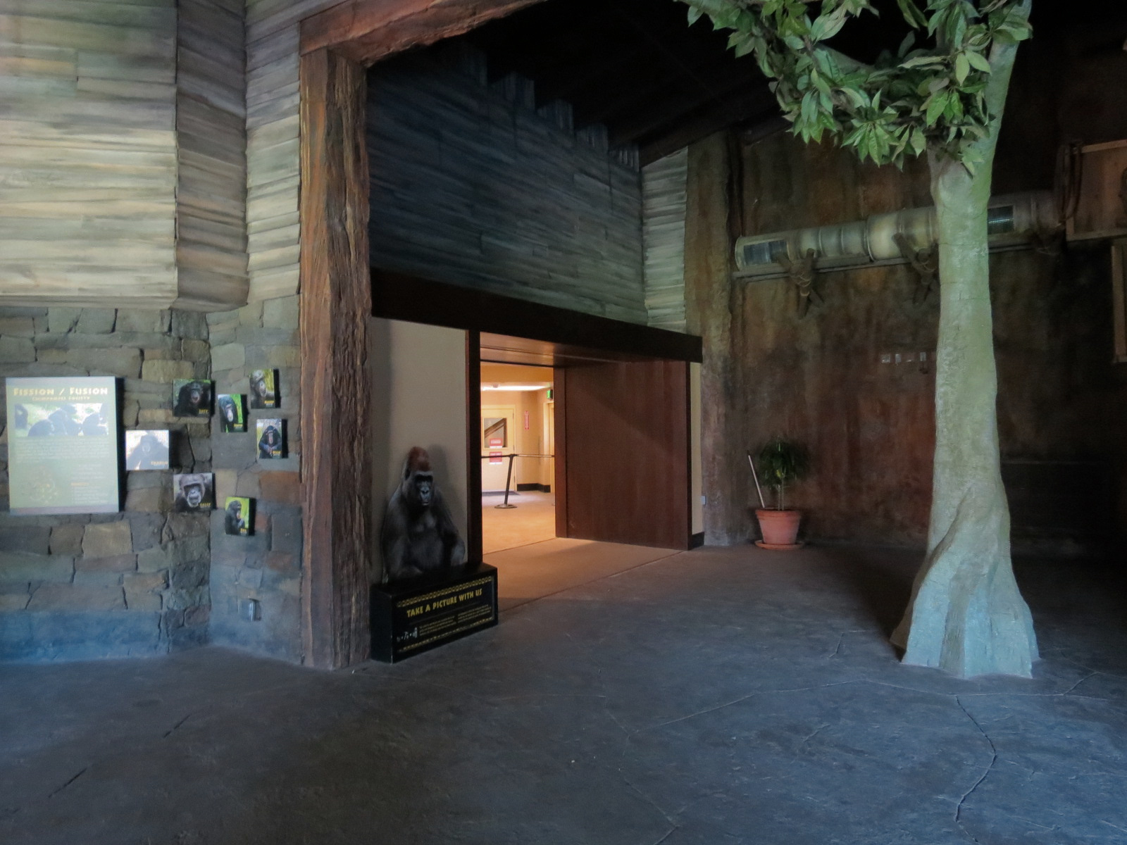 African Forest - The Great Ape Gallery