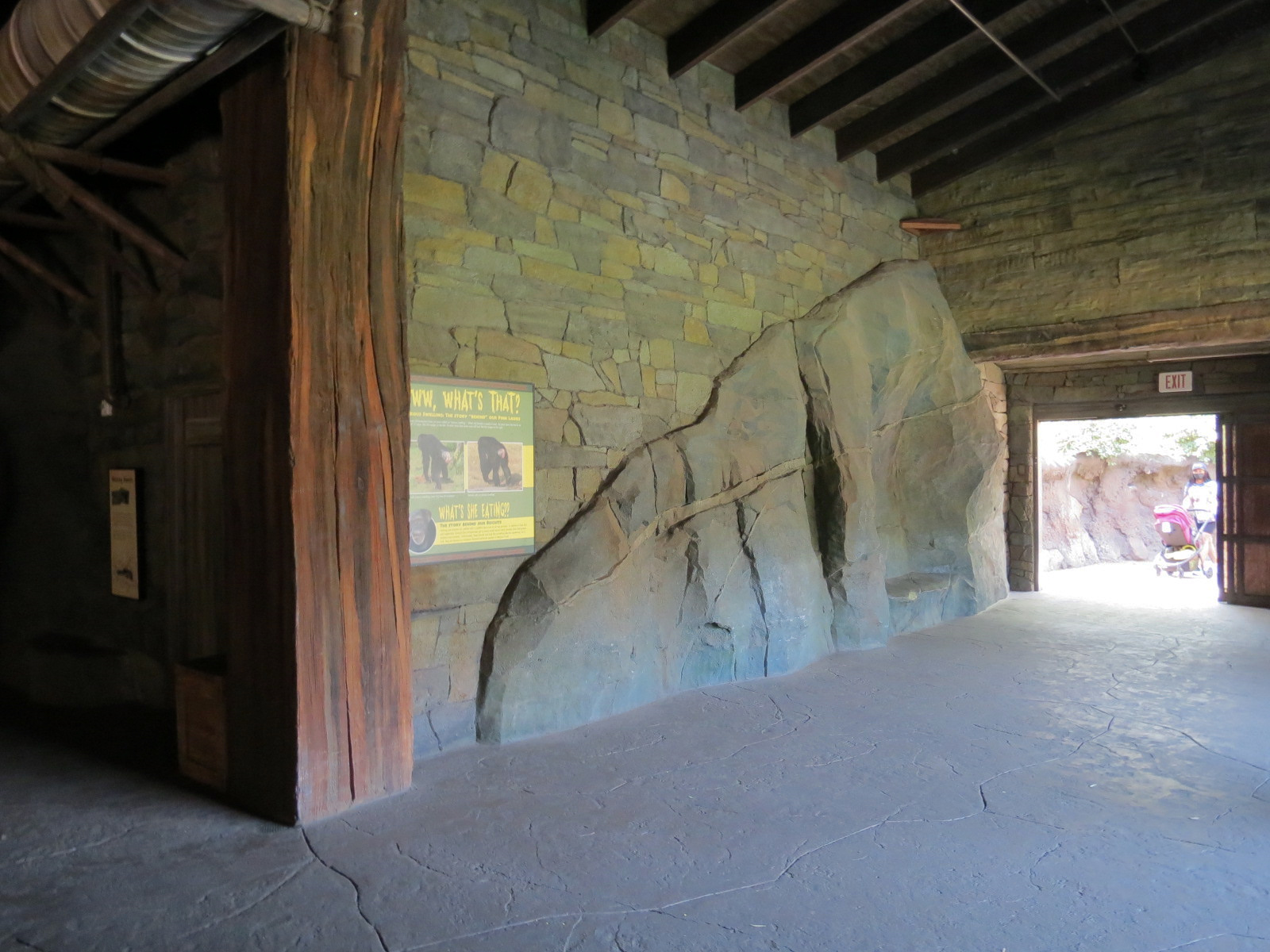 African Forest - The Great Ape Gallery