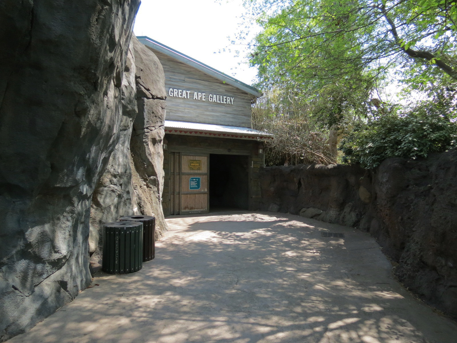 African Forest - The Great Ape Gallery