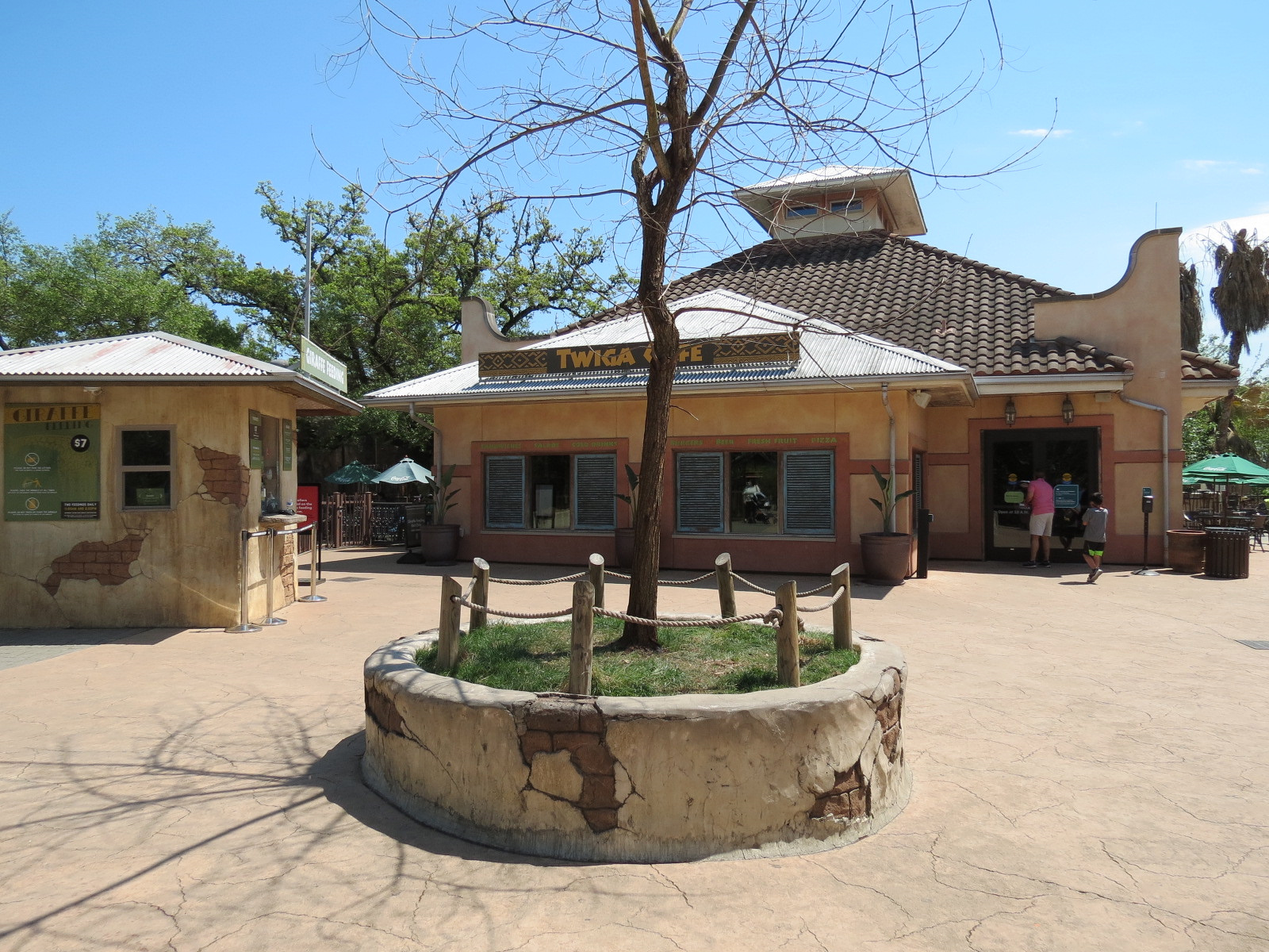 African Forest - Twiga Cafe