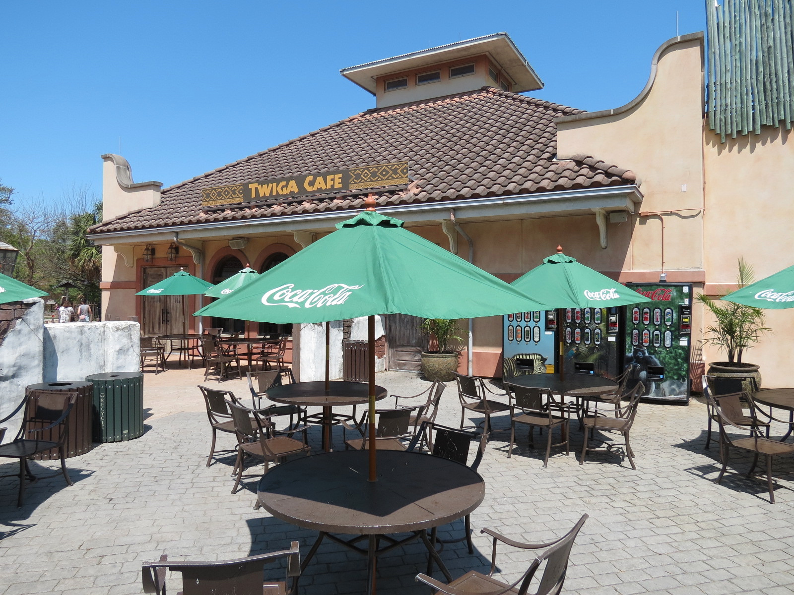 African Forest - Twiga Cafe