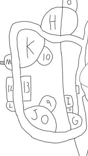 African Forest: Unicorn Trek