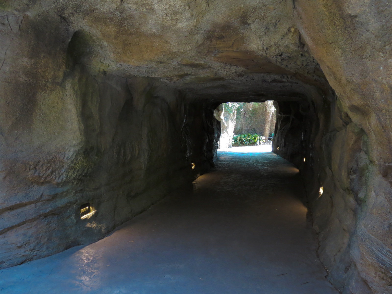 African Forest - Visitor Path Tunnel