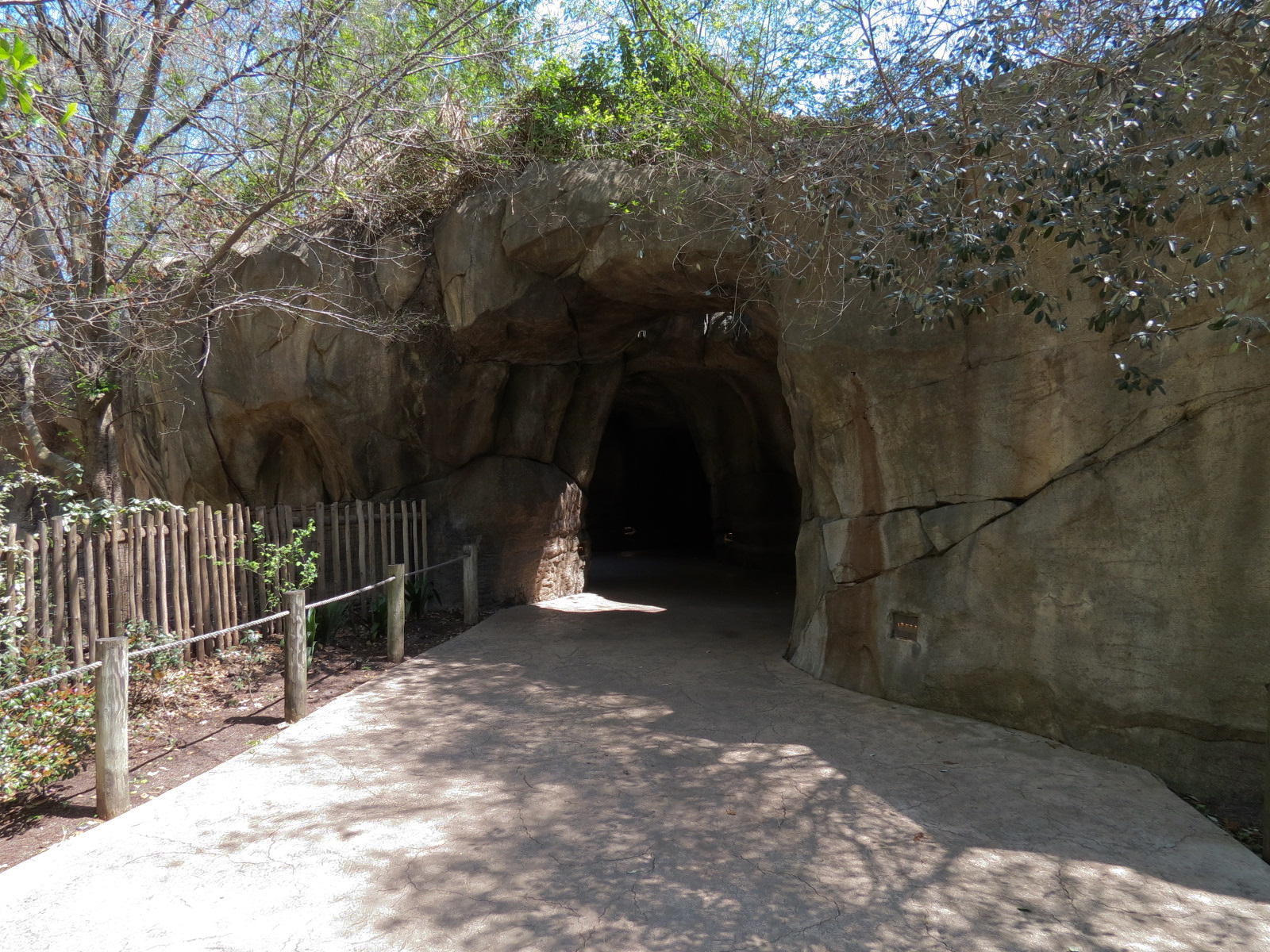 African Forest - Visitor Path Tunnel