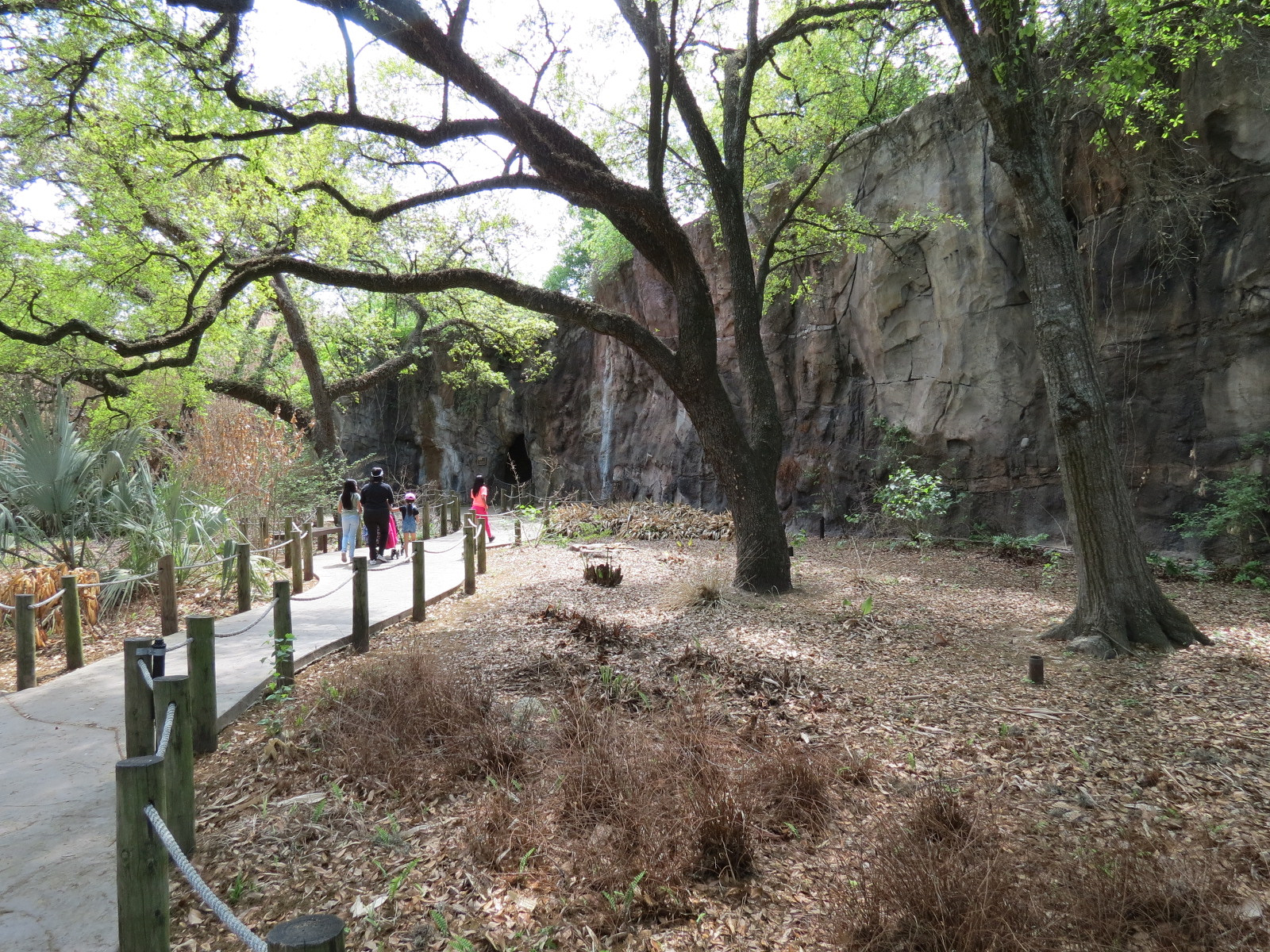 African Forest - Visitor Path