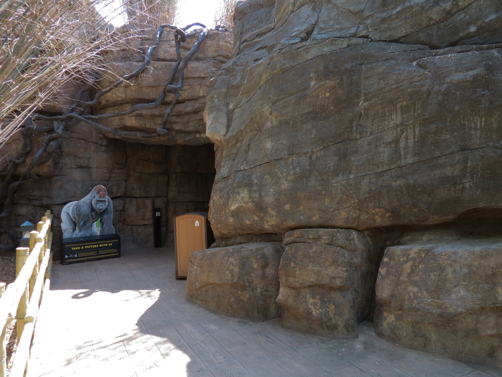 African Forest - Visitor Path