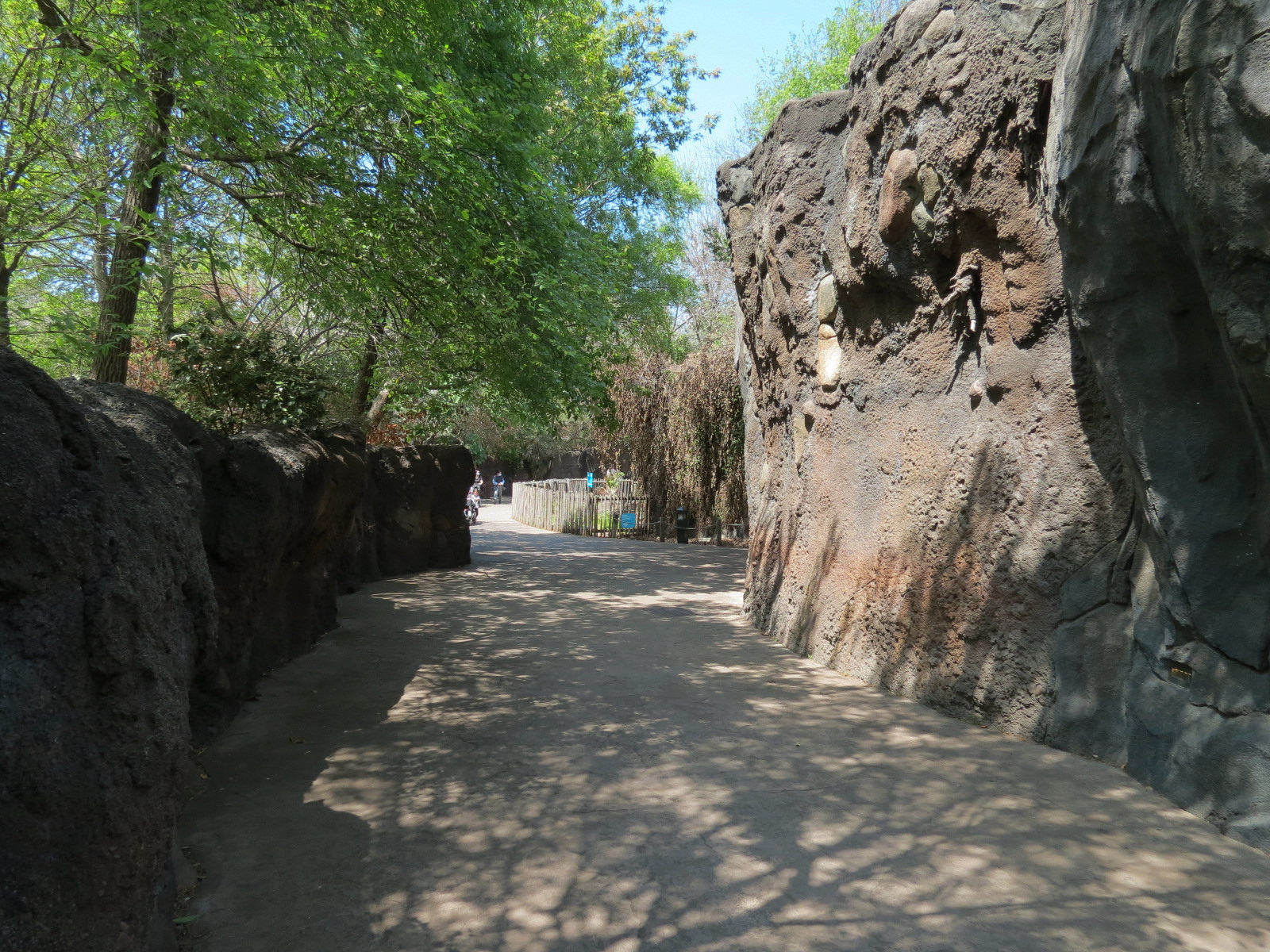 African Forest - Visitor Path