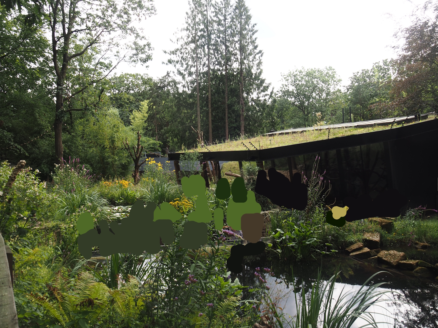African forest walk-through area with Gabon talapoin and King colobus - Ponds and building, 2024-08-18