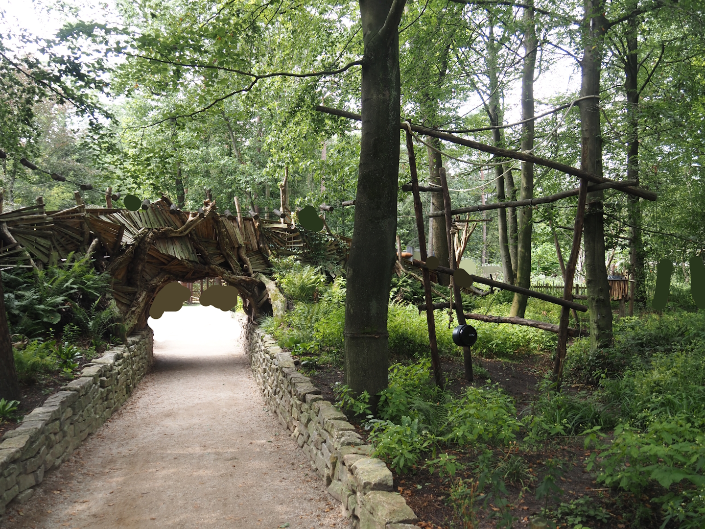 African forest walk-through area with Gabon talapoin and King colobus - View in lower area towards bridge 2024-08-18
