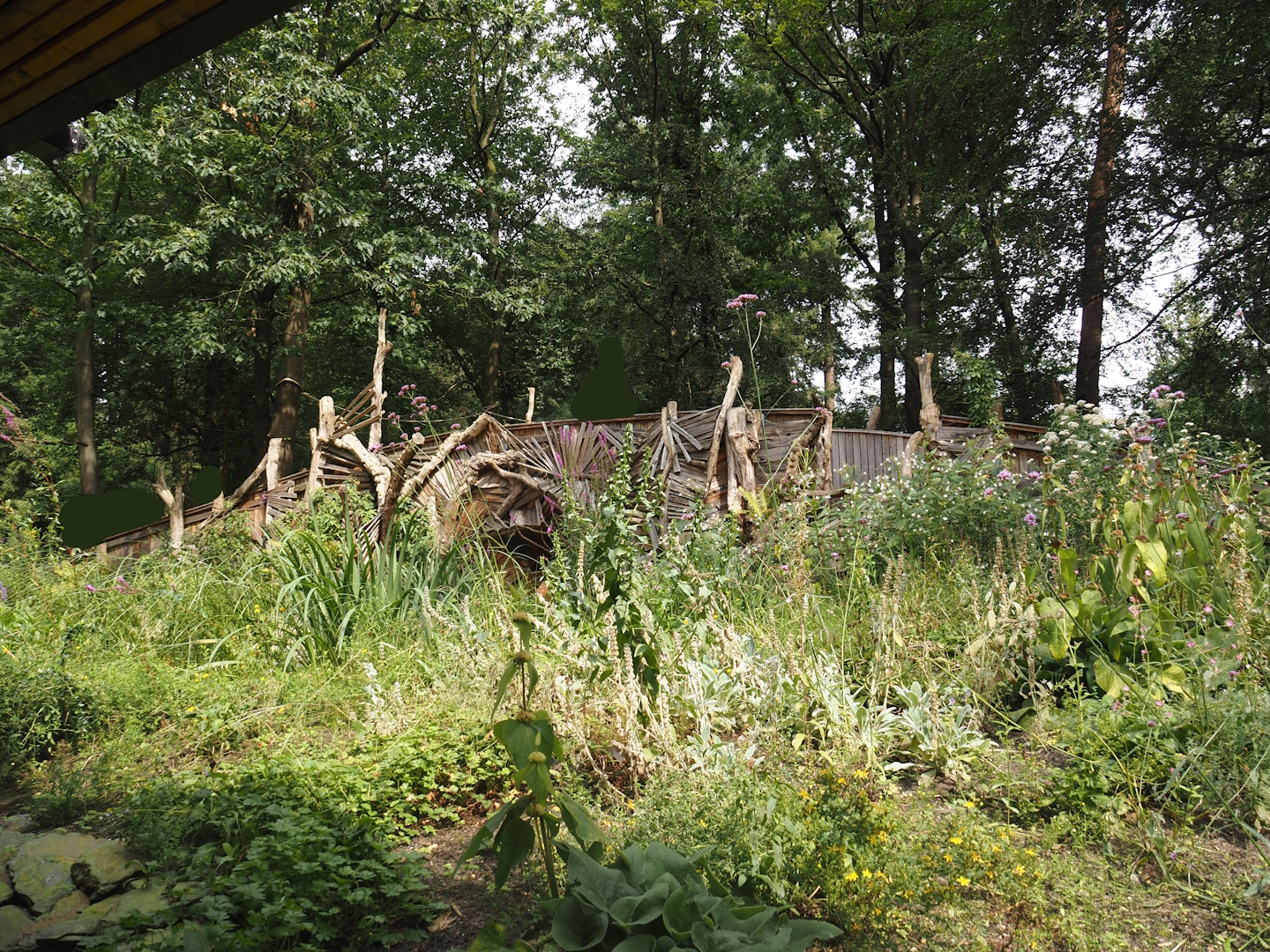 African forest walk-through area with Gabon talapoin and King colobus - View towards bridge, 2024-08-18