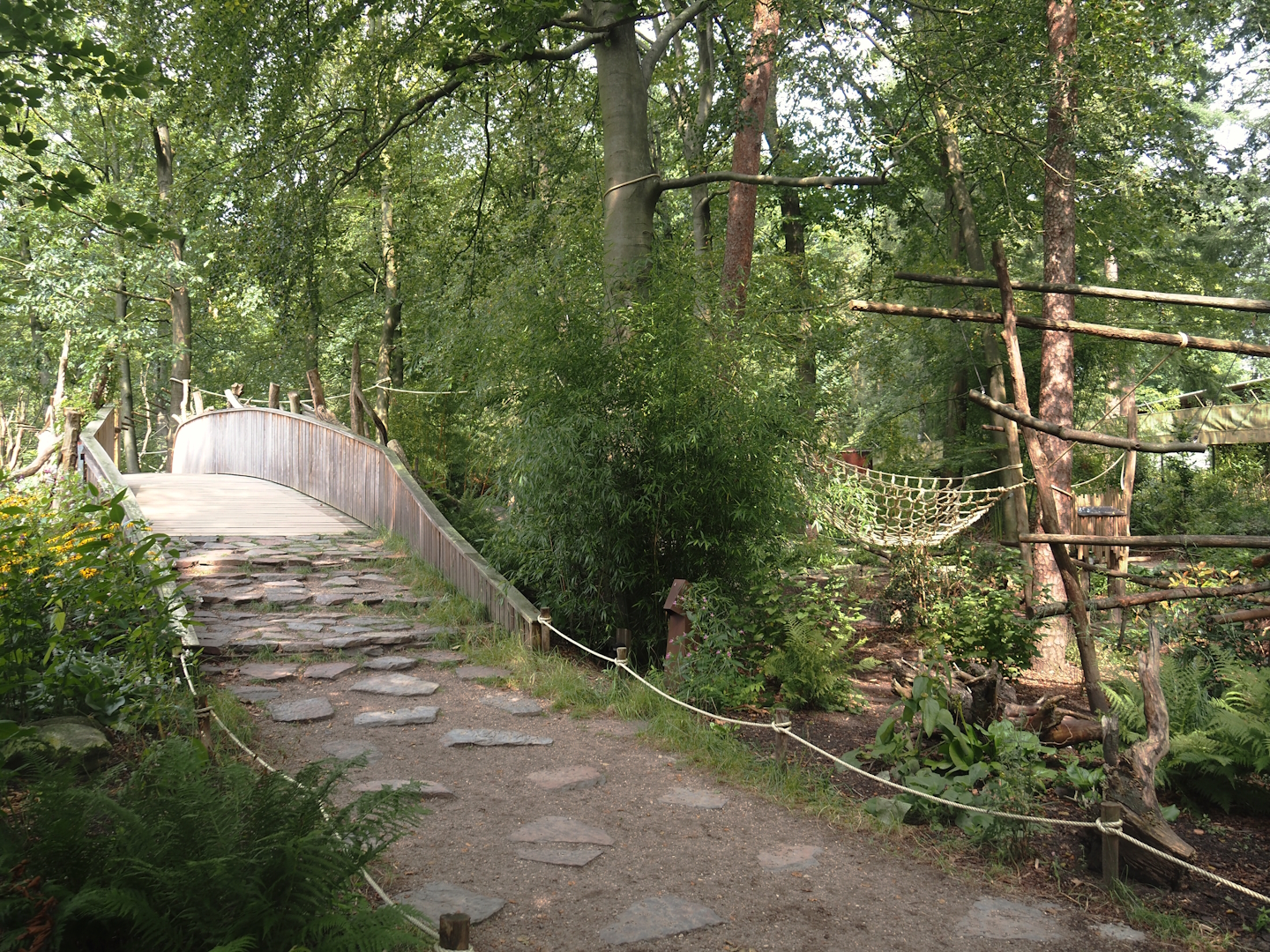 African forest walk-through area with Gabon talapoin and King colobus - View towards visitor bridge, 2024-08-18